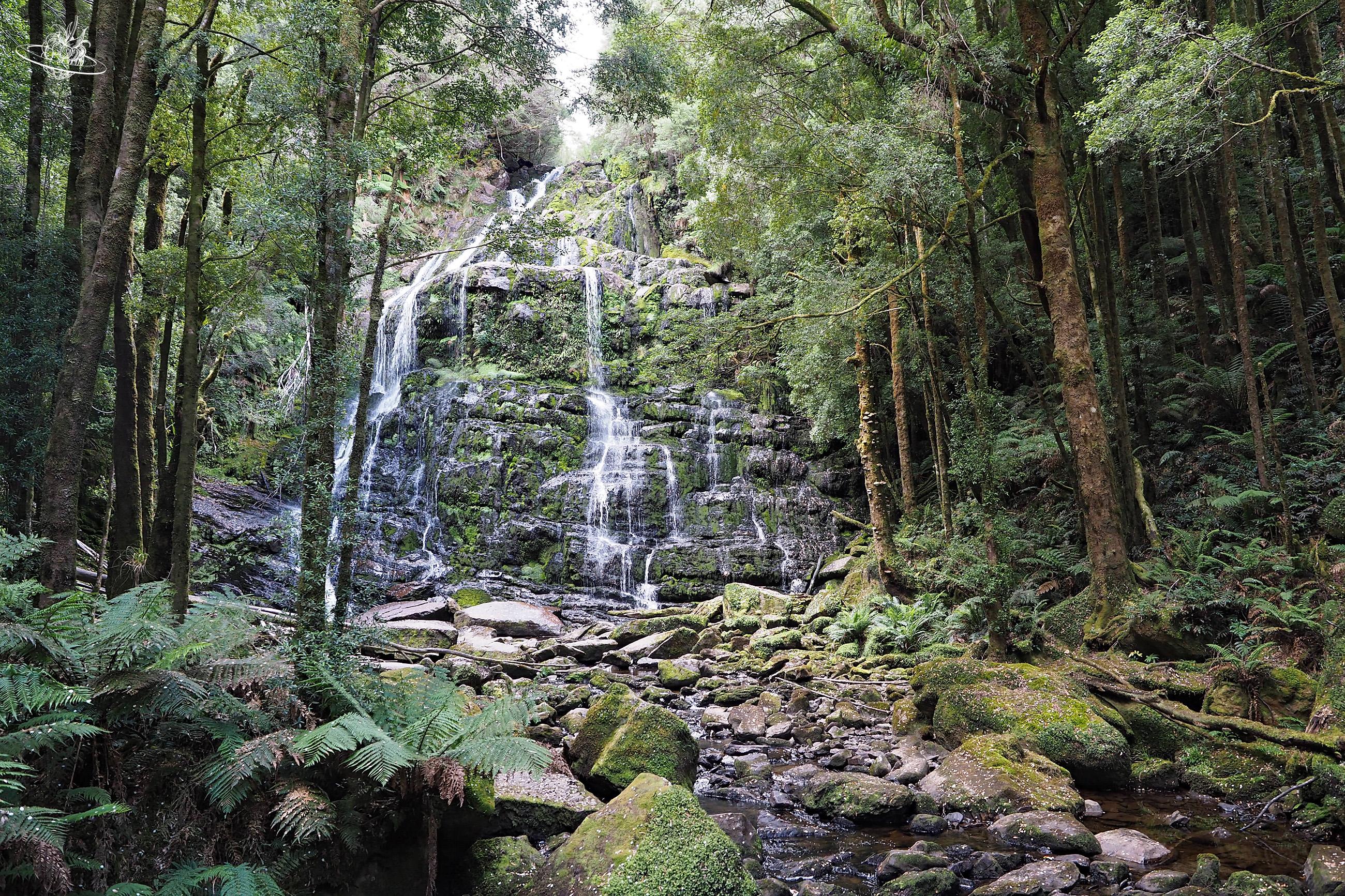 Die Russel Falls Wasserfällle im Mount Field Nationalpark in Lutruwita