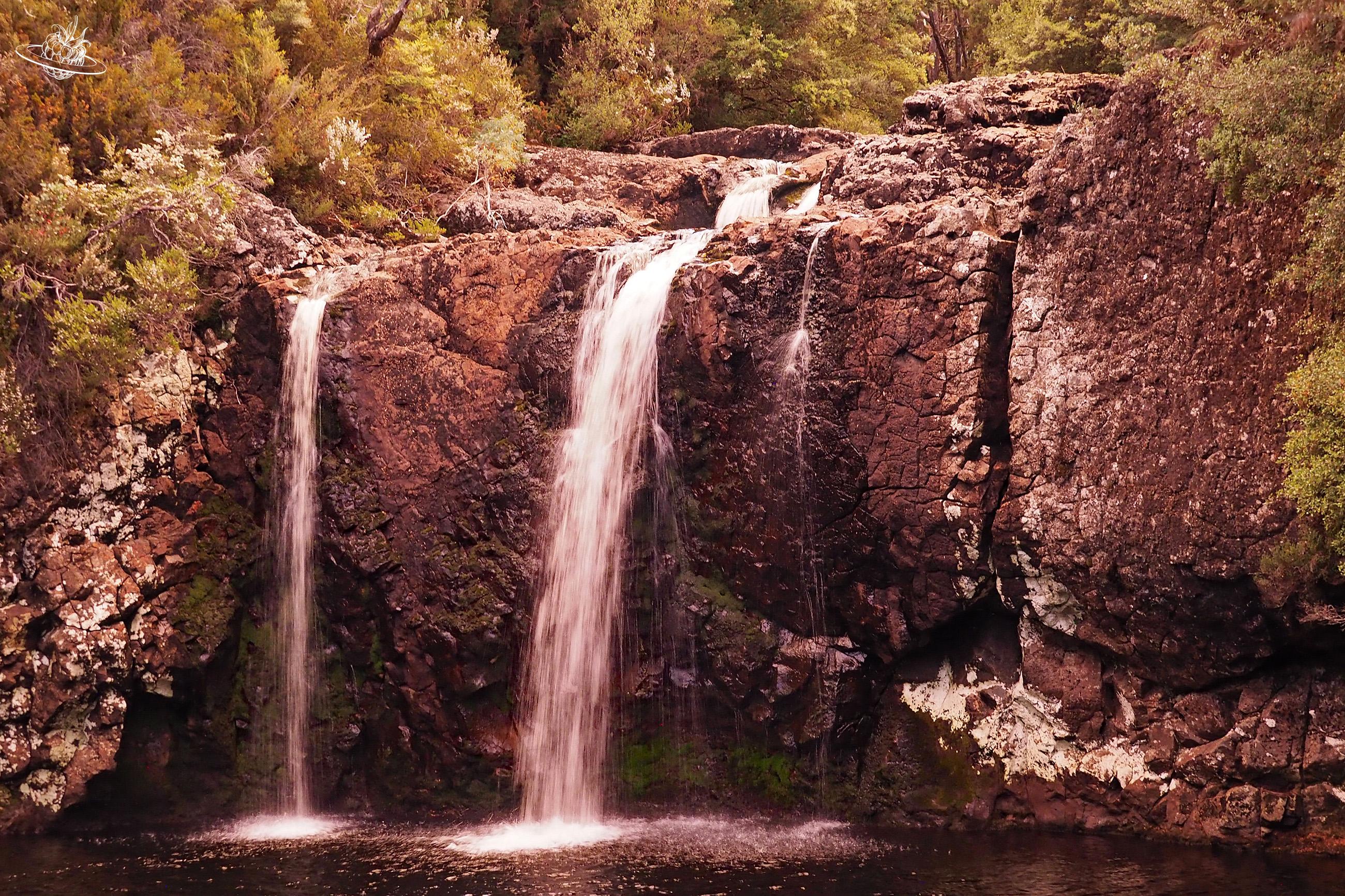 Abendspaziergang zum Craddle Mountain Pencil Pine Falls