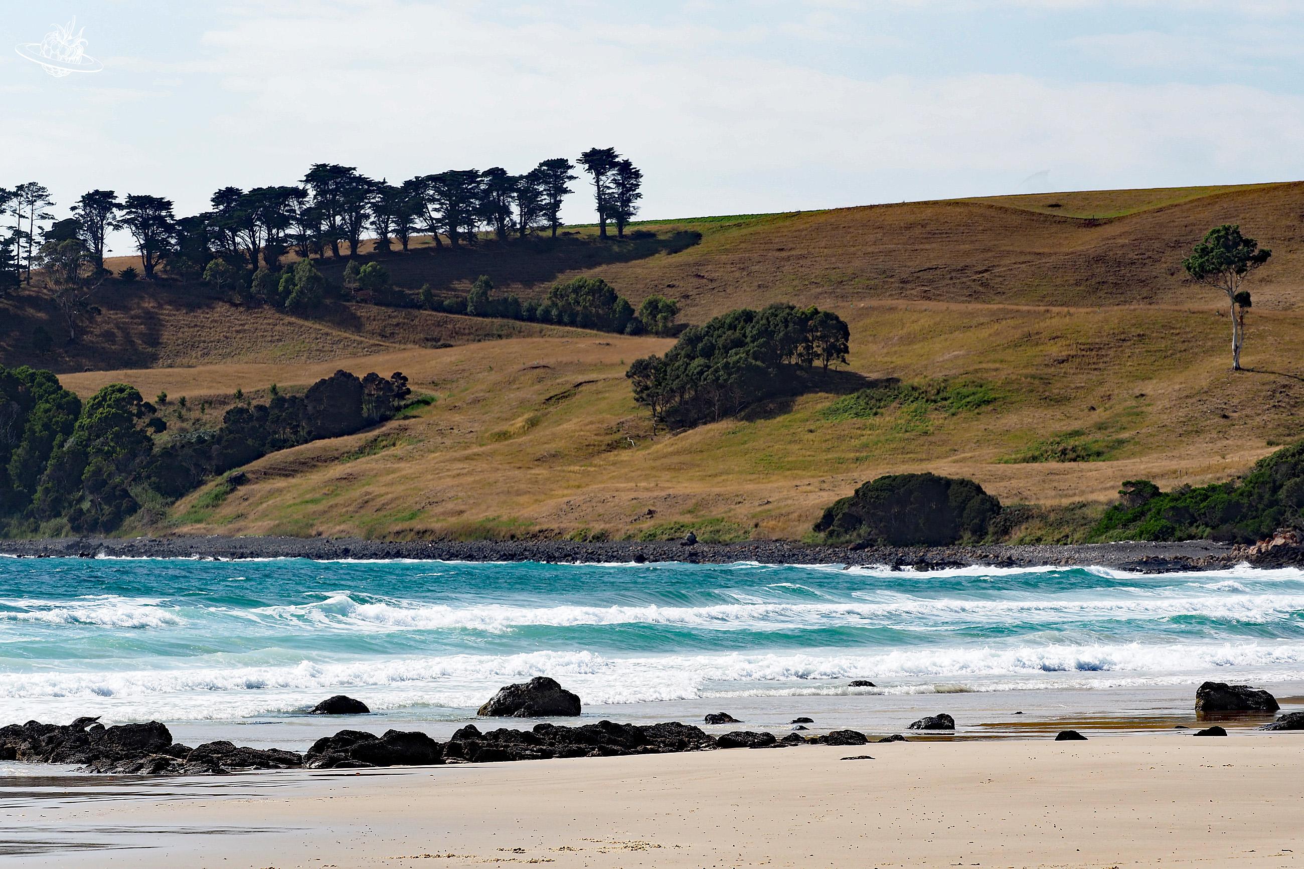schönster Strand in Tasmanien Boat Harbour Beach