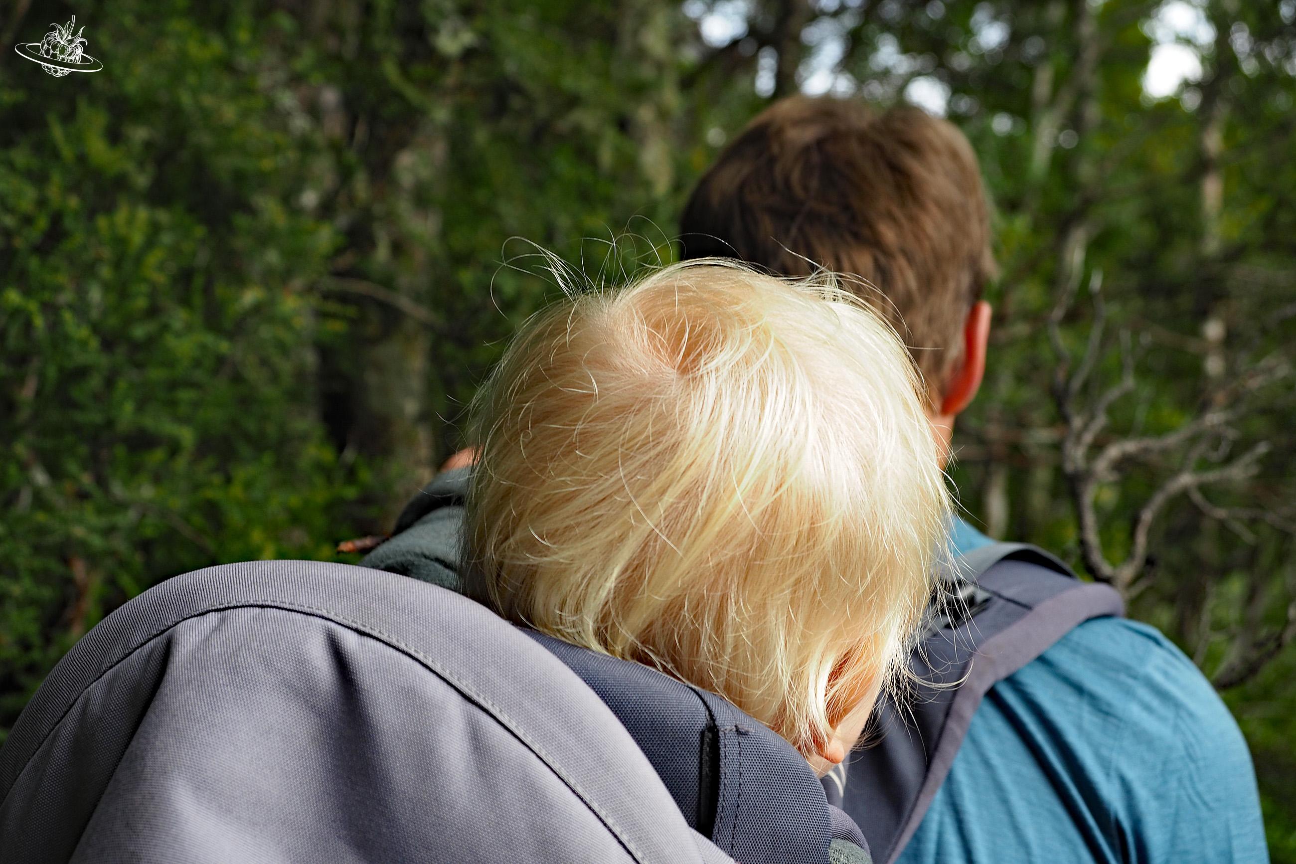 60 short walks: Kurzwanderungen in Tasmanien