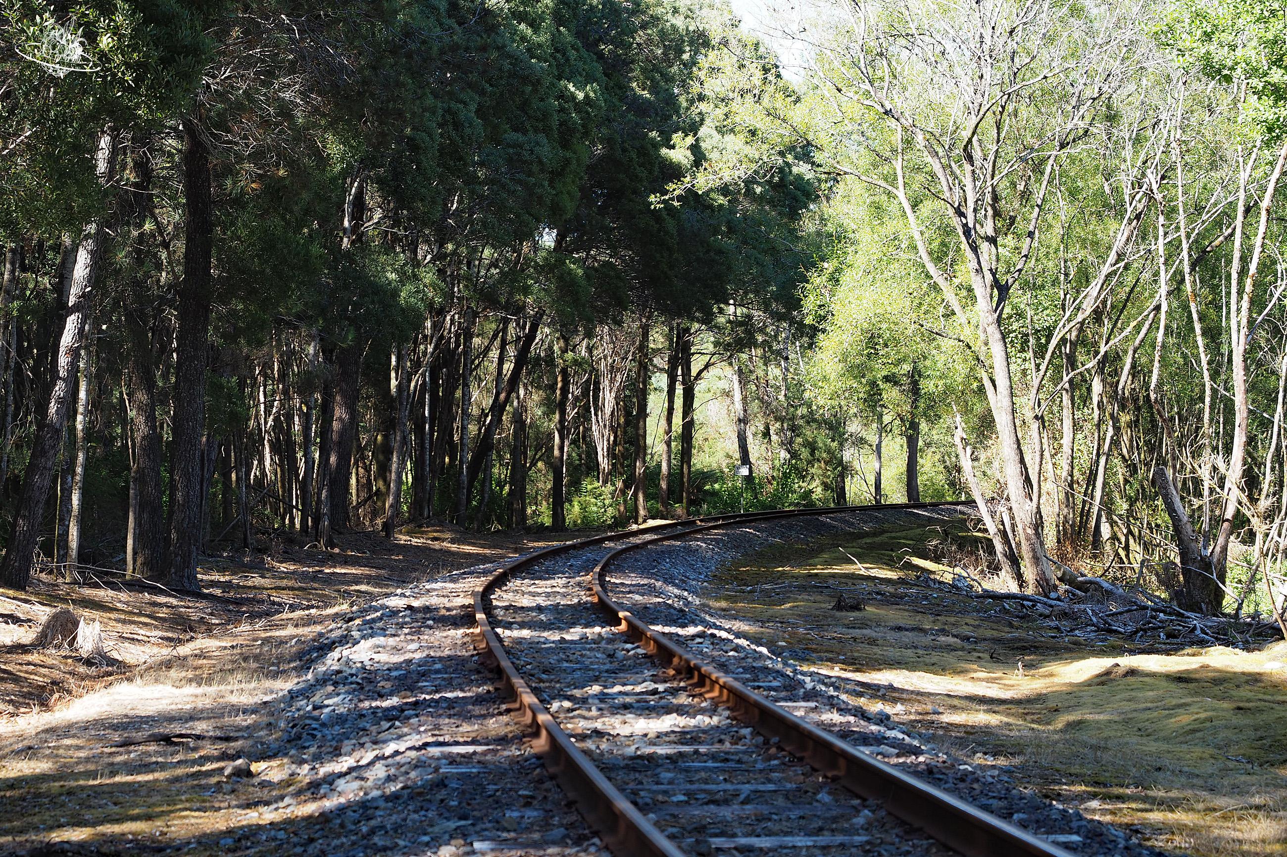 Mit der Bahn durch Tasmanien: West coast Wilderness Railway