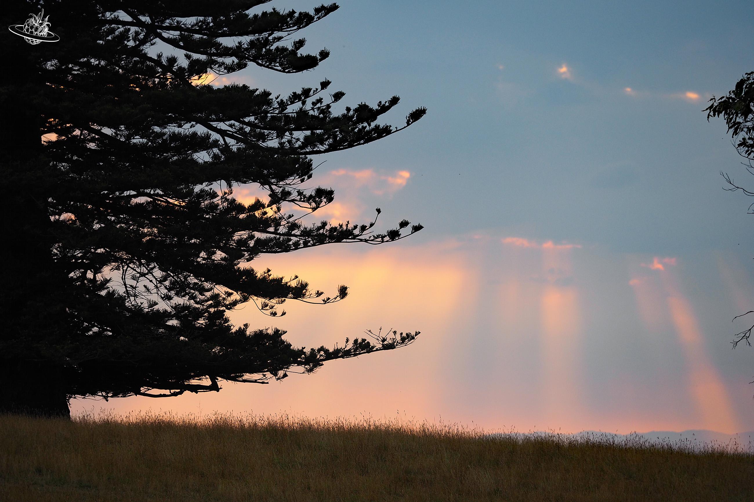Tasmanien Abendstimmung