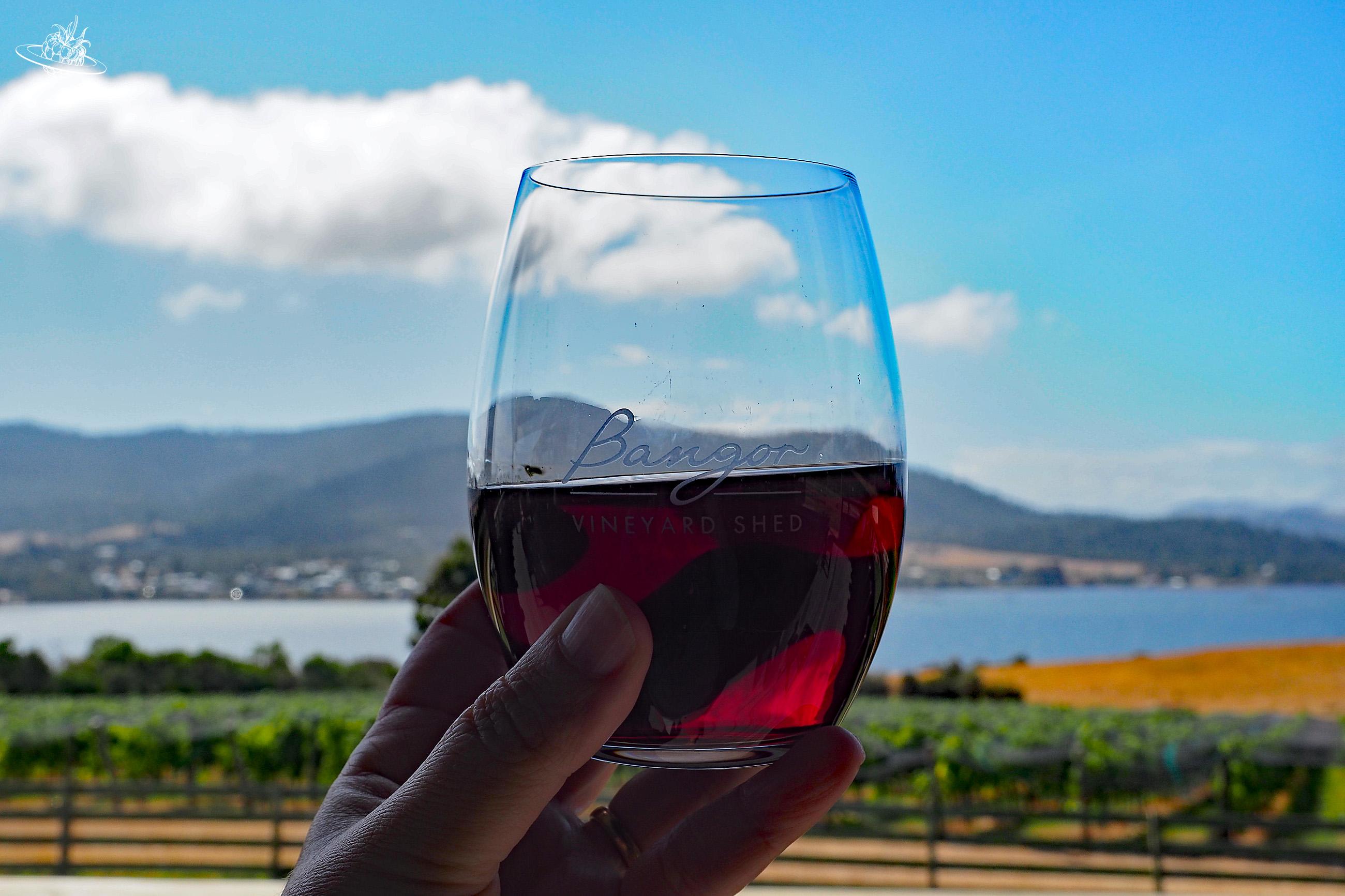 Weingut tasmanische Halbinsel: Weindegustation im Bangor Weingut