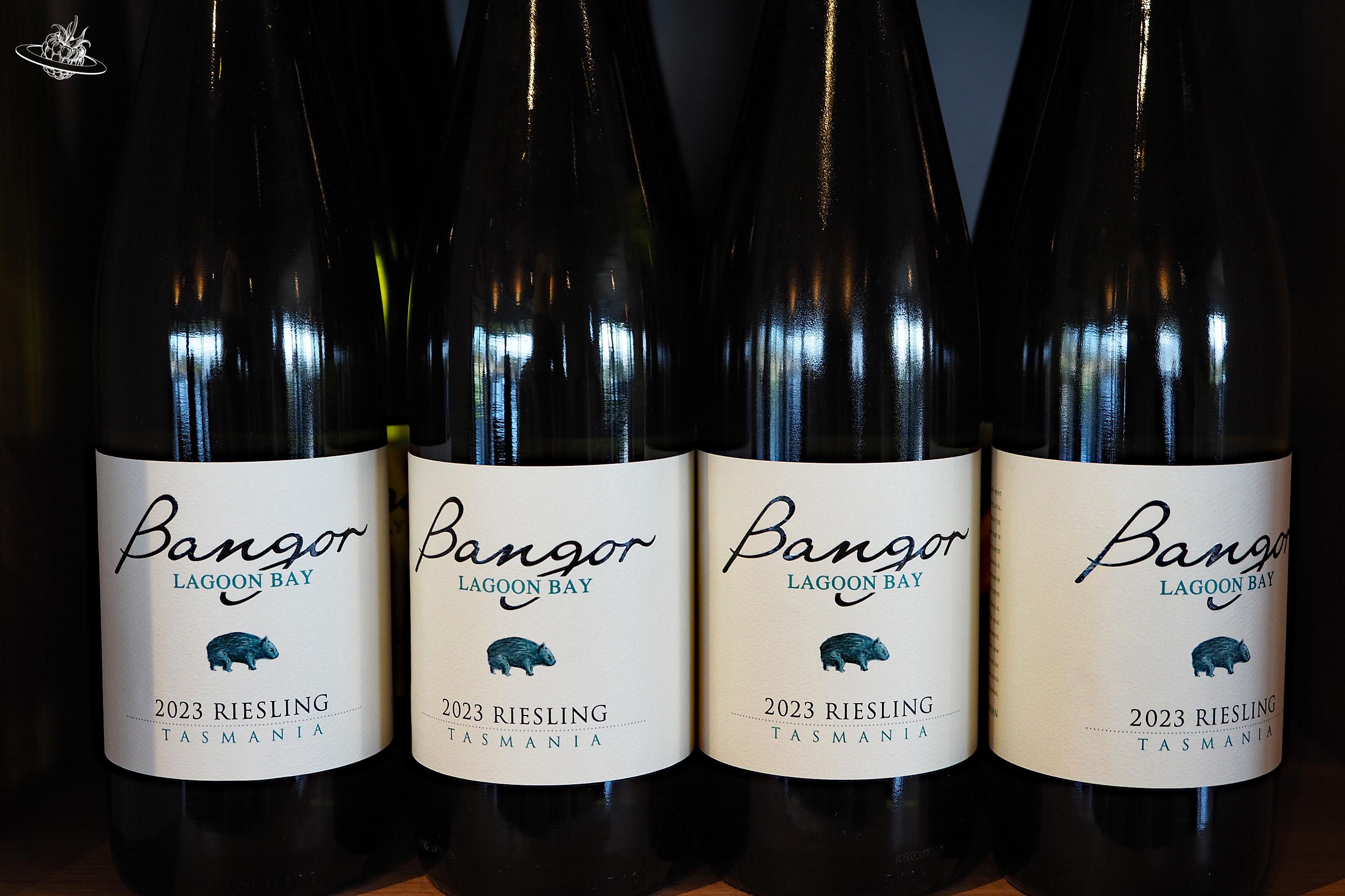 Weine Bangor Wein