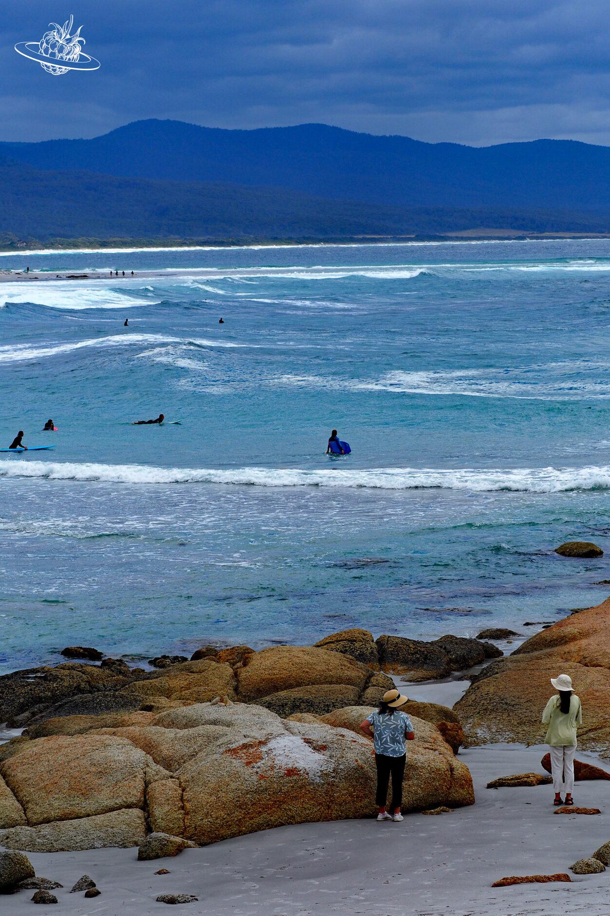 Surf Tipp in Tasmanien: Bicheno
