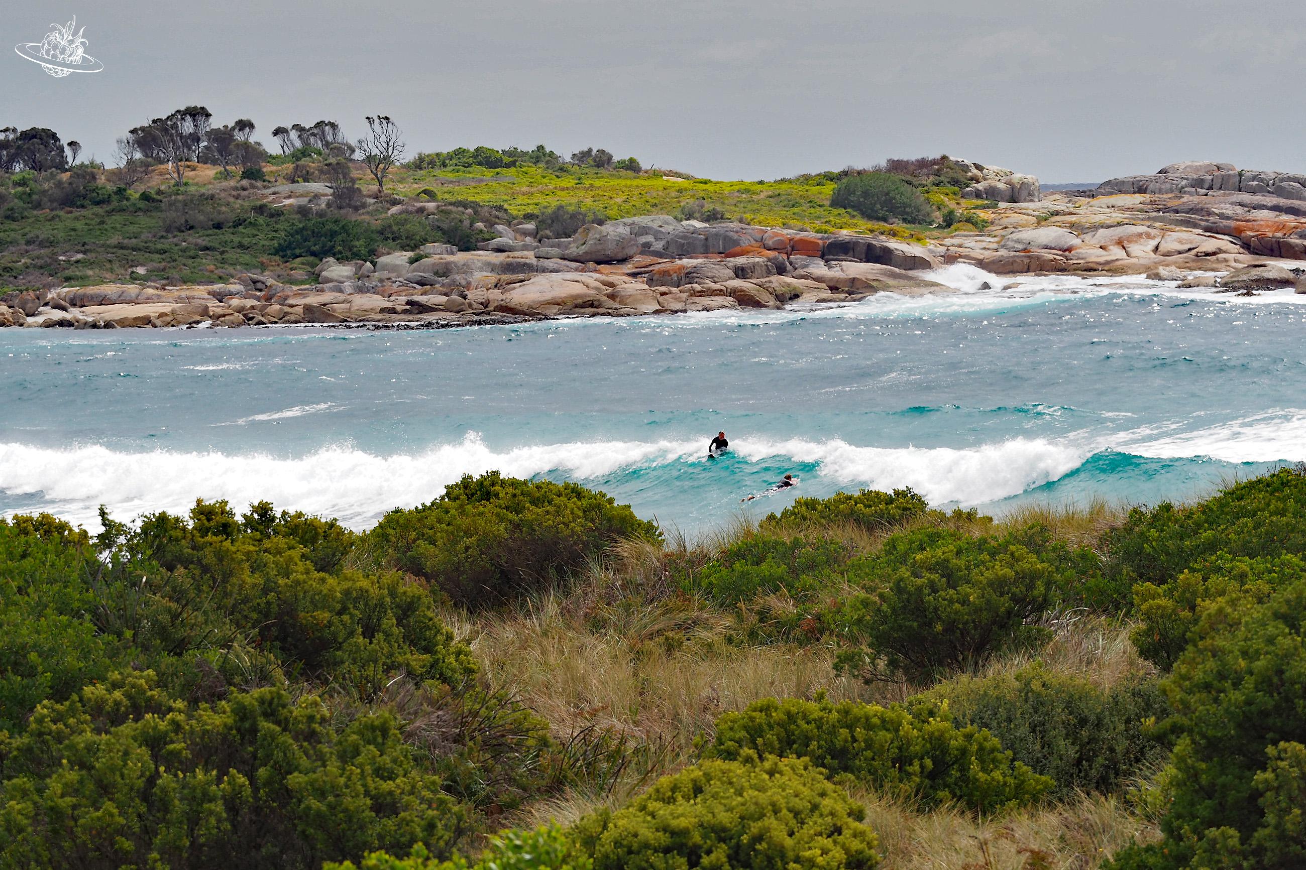 Bicheno Surfen in Tasmanien