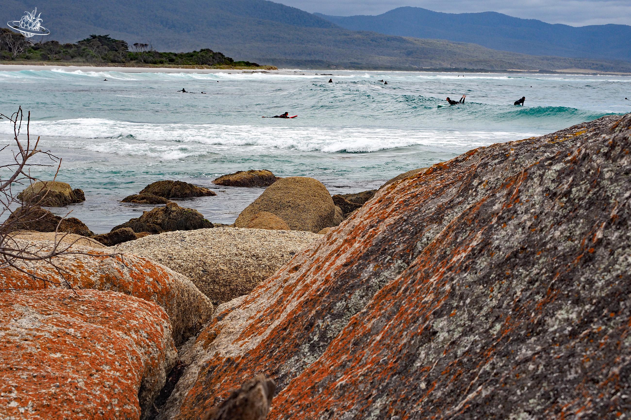 Auch Schulklassen surfen bereits in Bicheno in Tasmanien