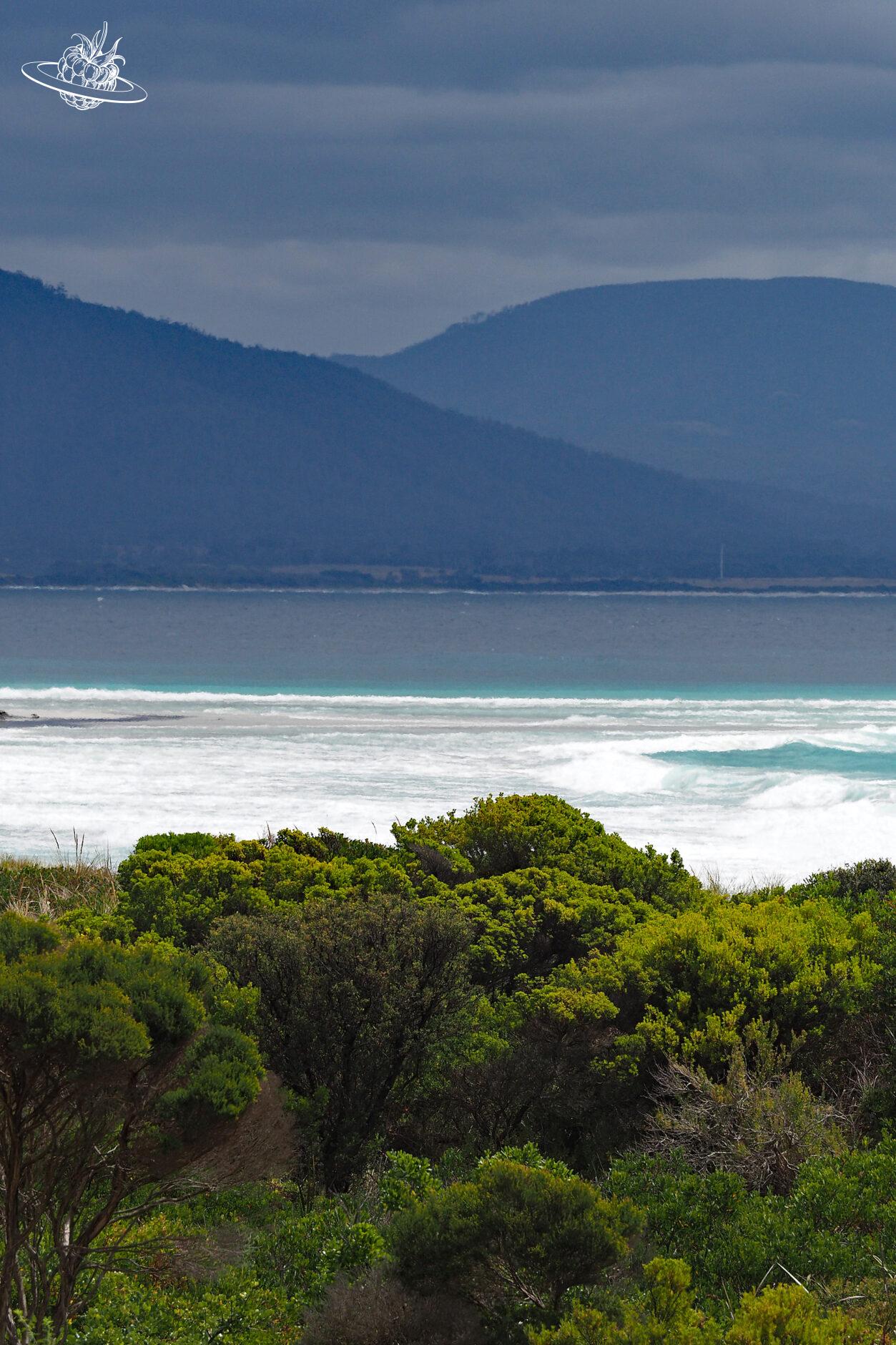 Bicheno Tasmanien Surfen Reisetipp
