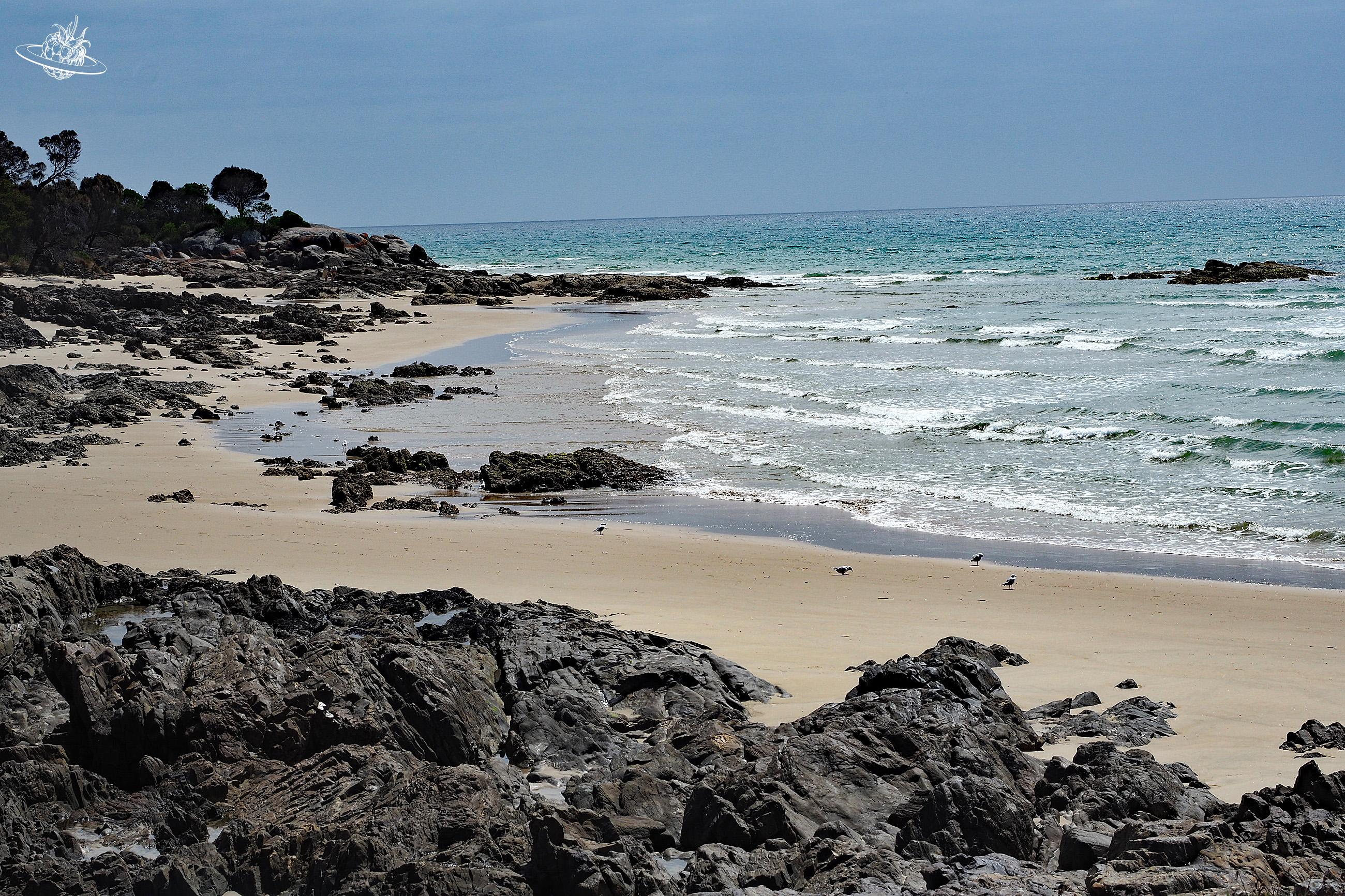 Schöner Strand Eastman Beach