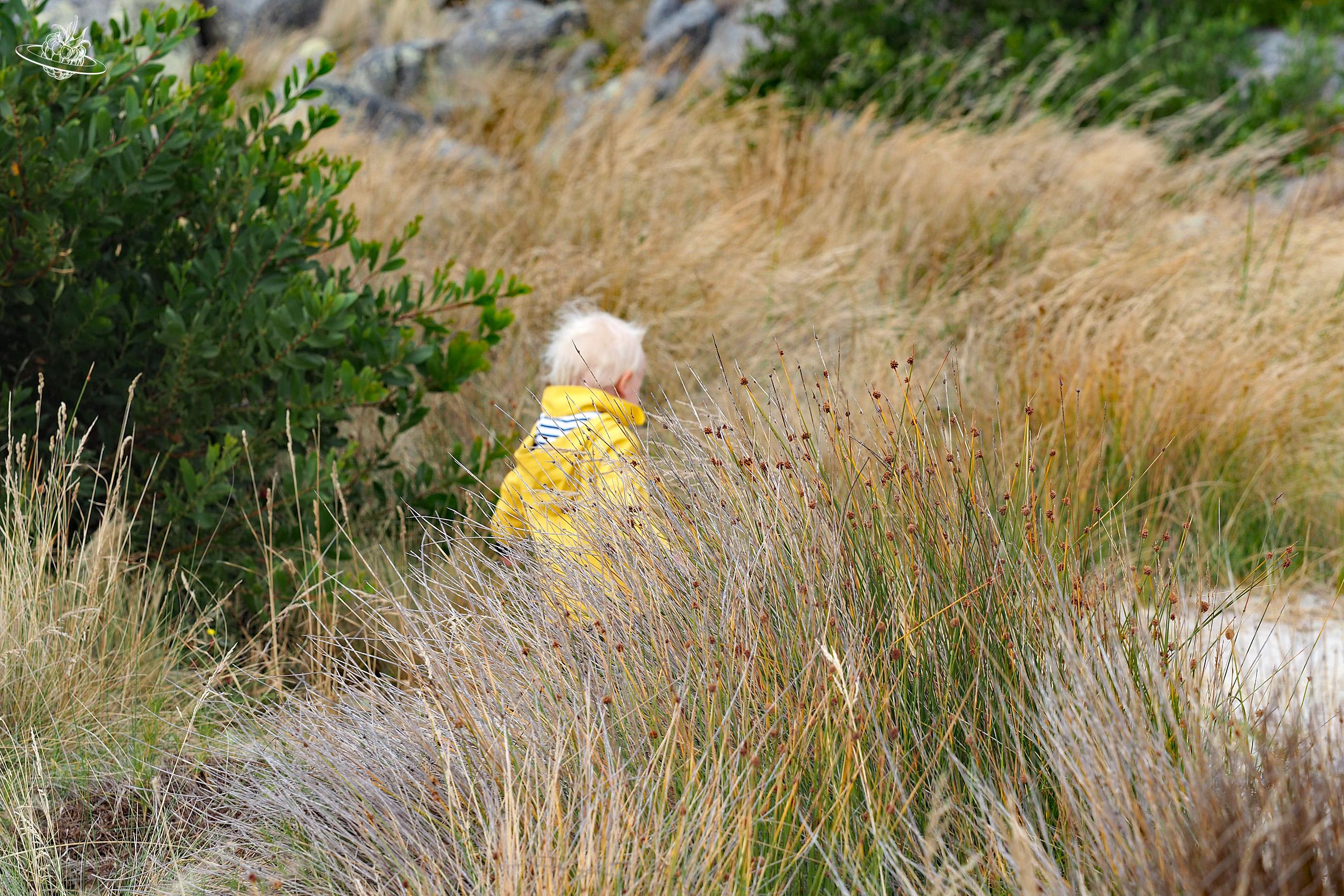 Wandern beim Eddystone in Tasmanien