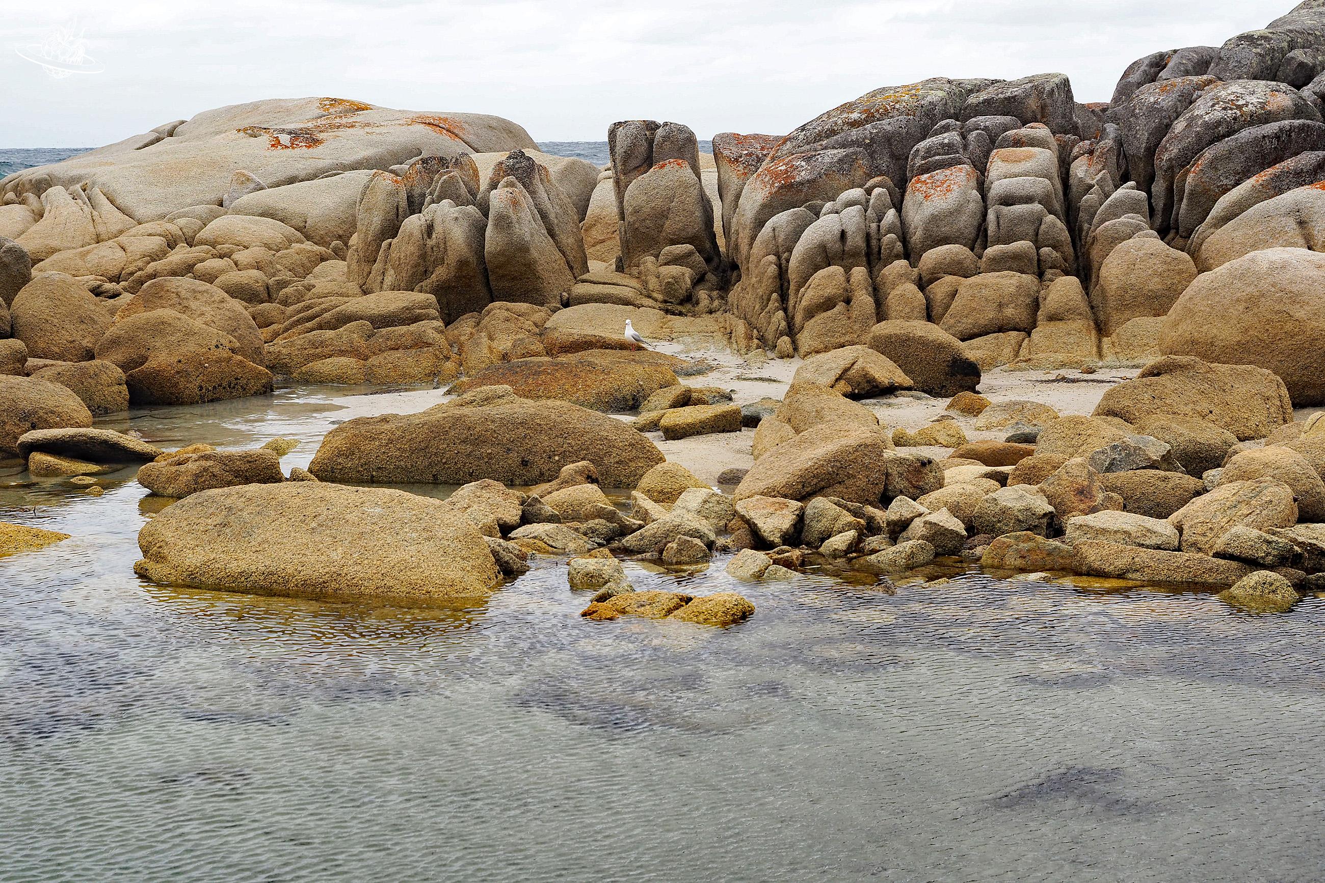 Eddystone Meer an der Ostküste Tasmanien.