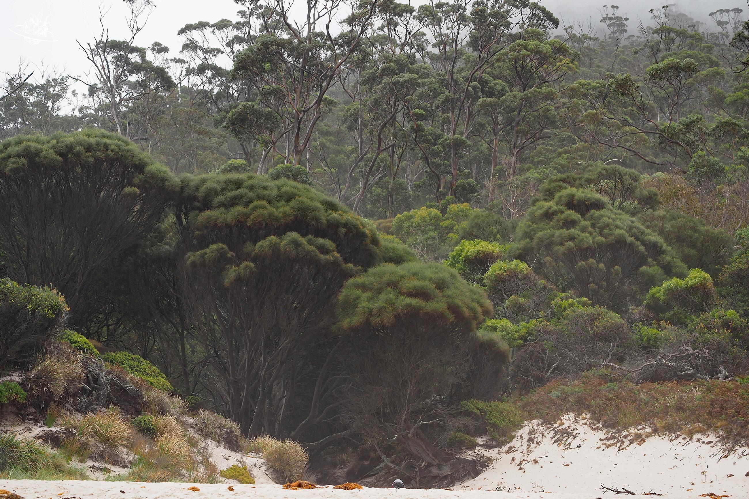 Freycinet Nationalpark wandern