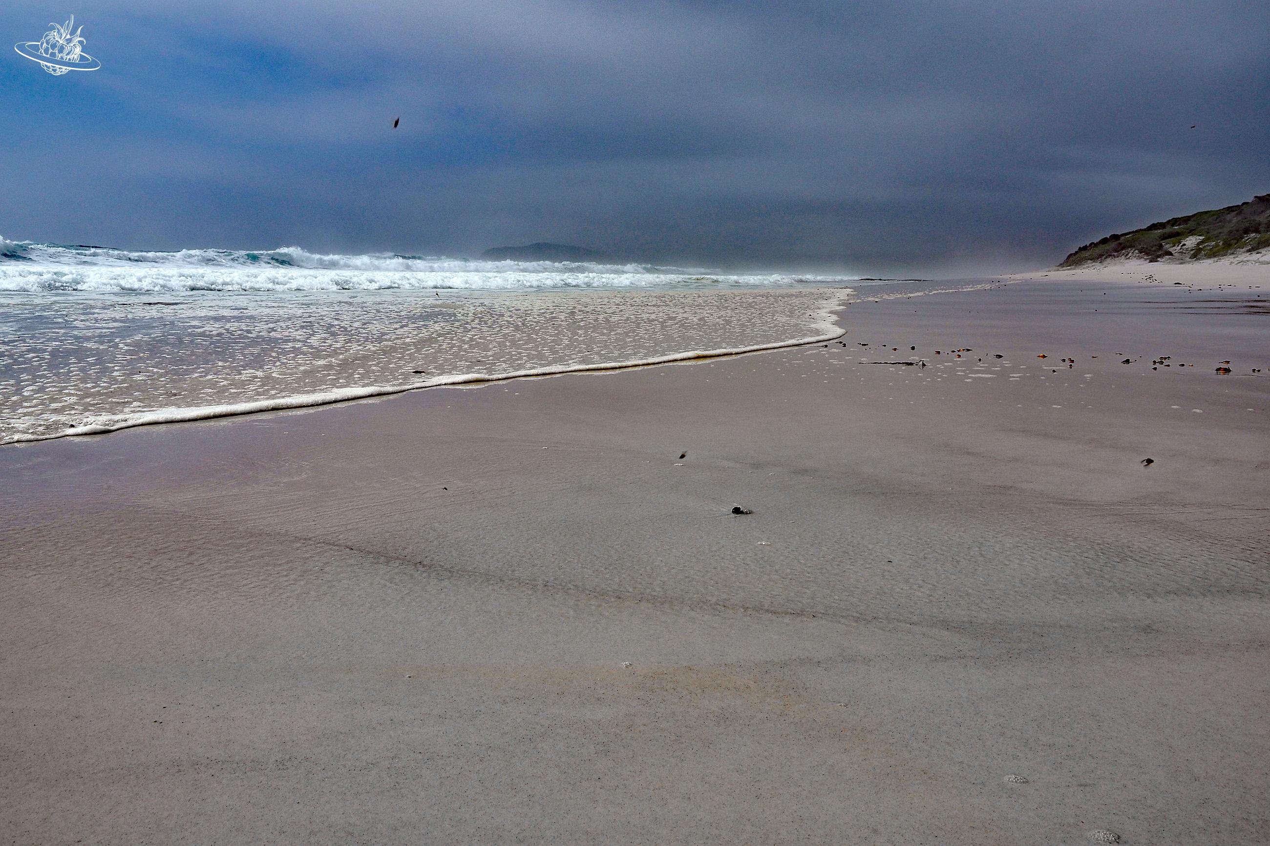 Friendly Beach in Tasmanien