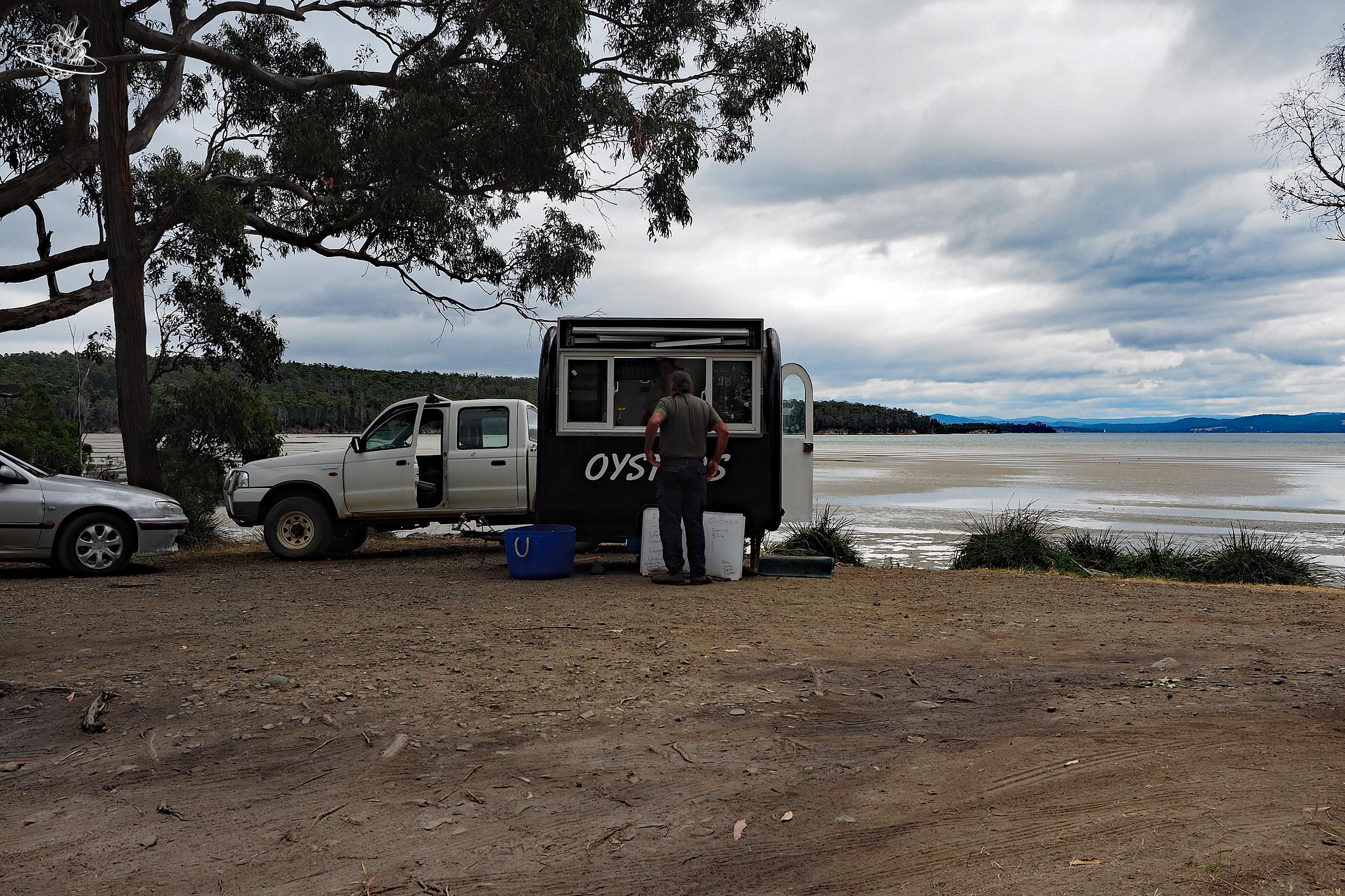 Frische Auster in Tasmanien