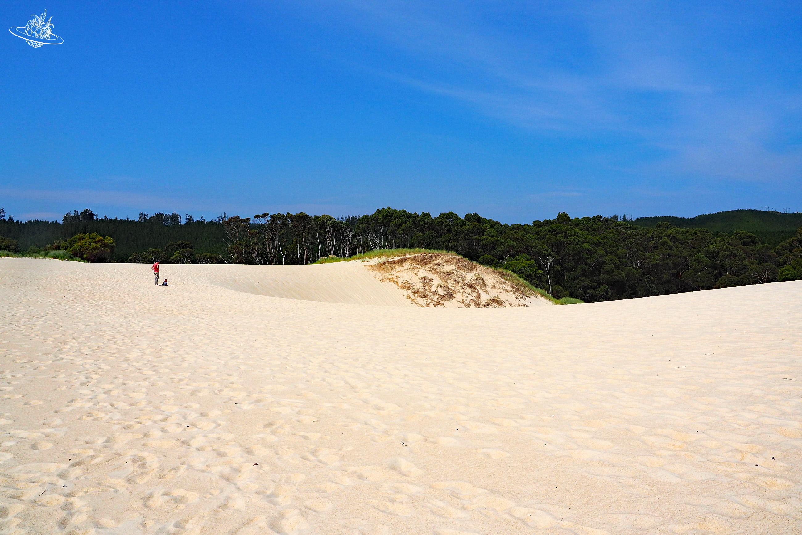 Must See Henty dunes in Tasmanien