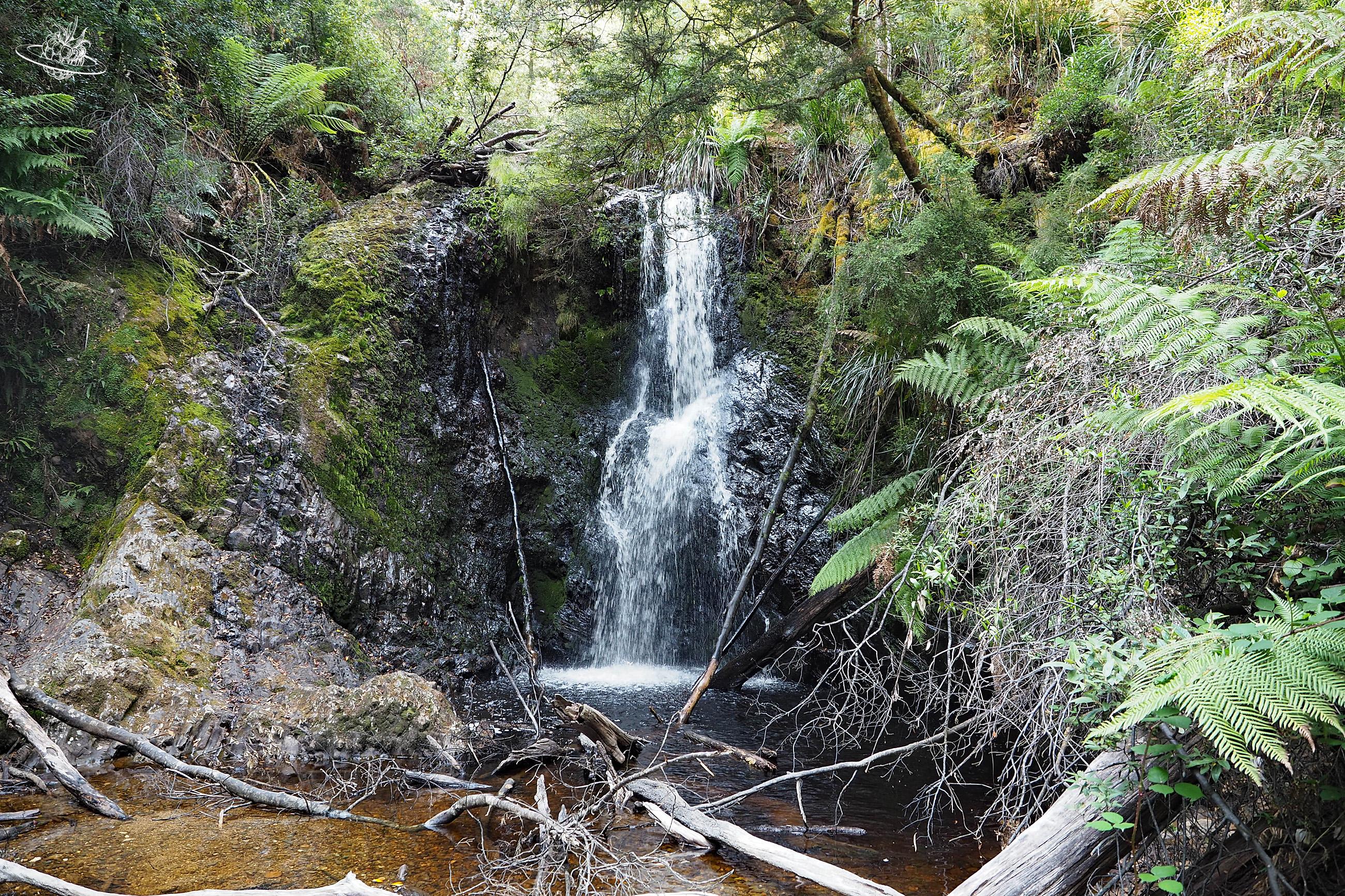 60 Kurz-Wanderungen in Tasmanien. Hogarth Falls bei Strahan mit Kinderwagen