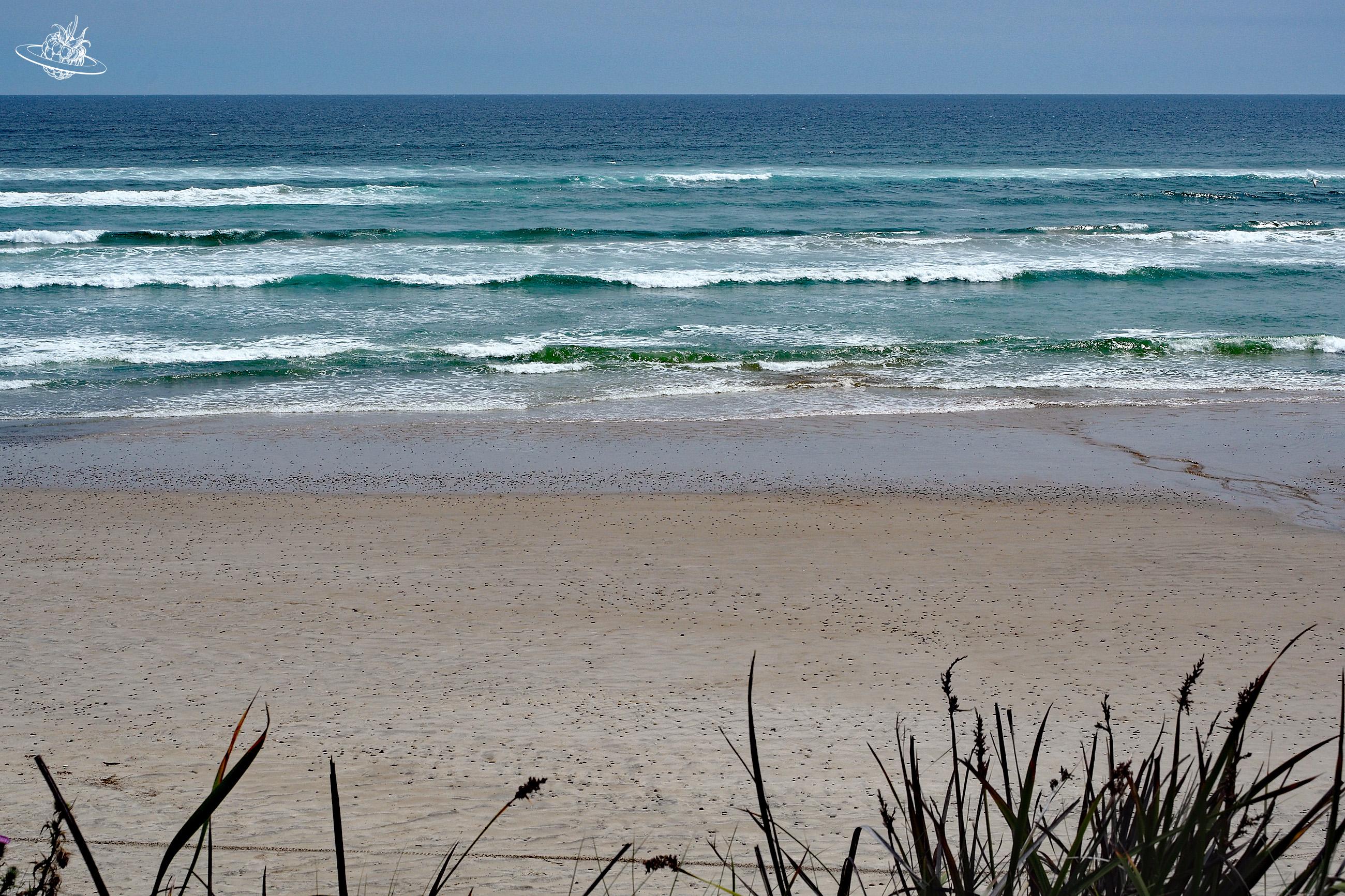 Schöner Strand im Westen von Tasmanien, Look Out Strand