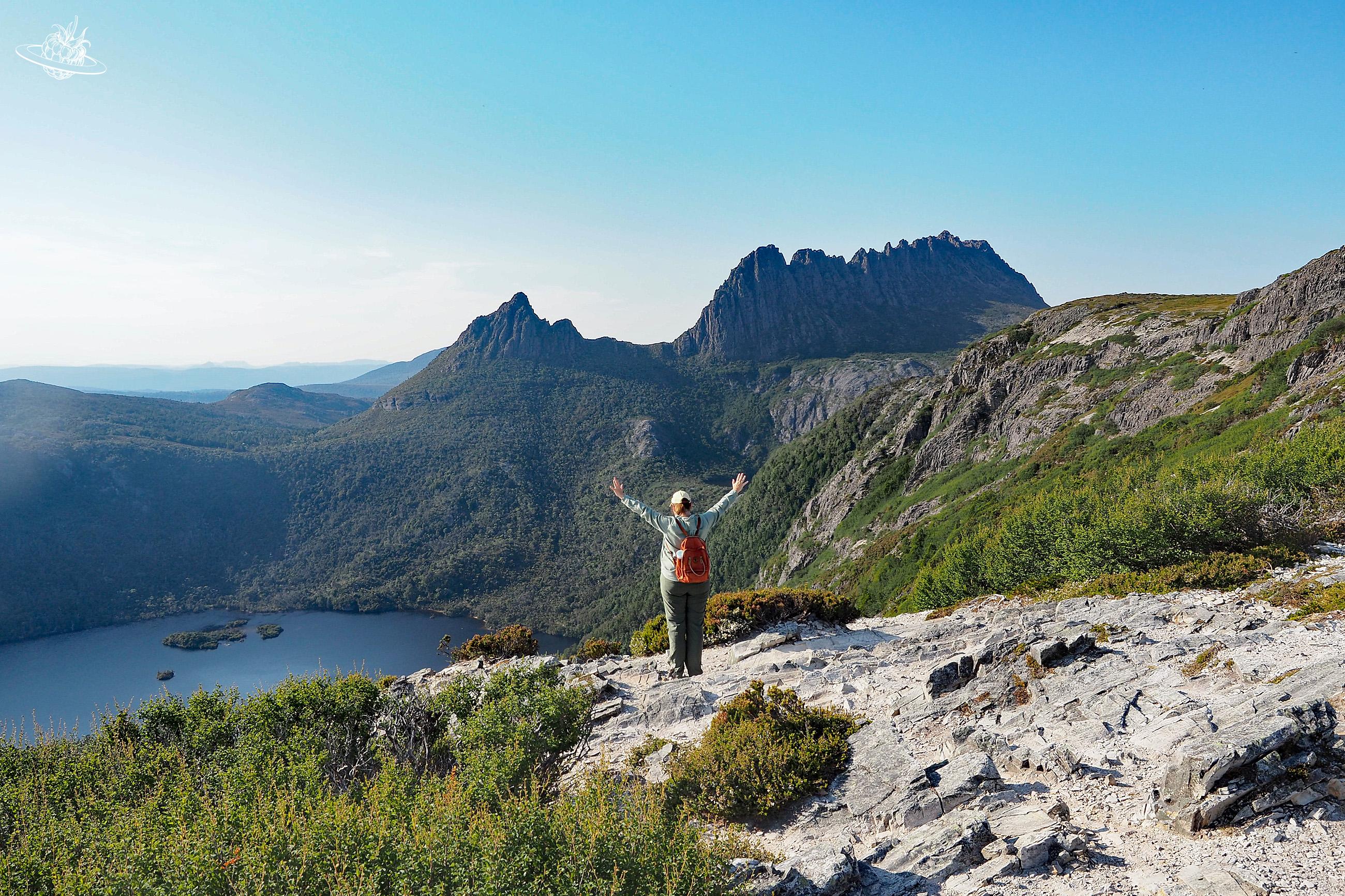 wunderberry beim Marion Lookout in Tasmanien
