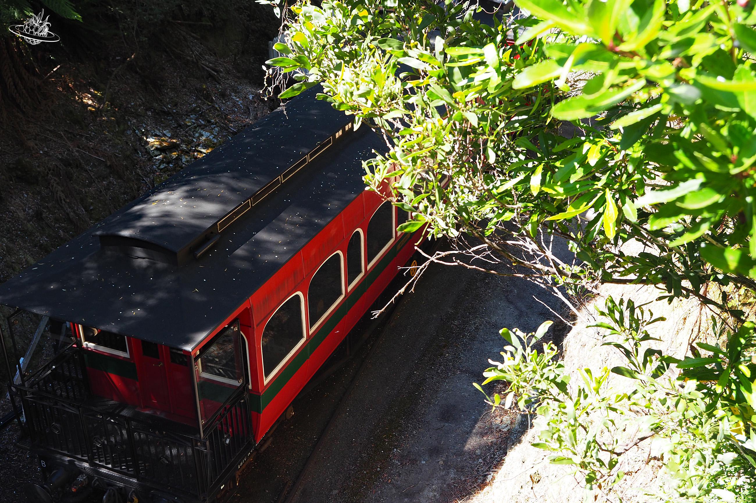 Im Regenwald Bahnfahren. Möglich in Queenstown, Tasmanien