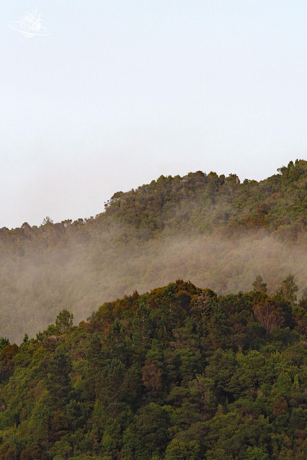 Wolken über dem Wald. Reisetipp Queenstown