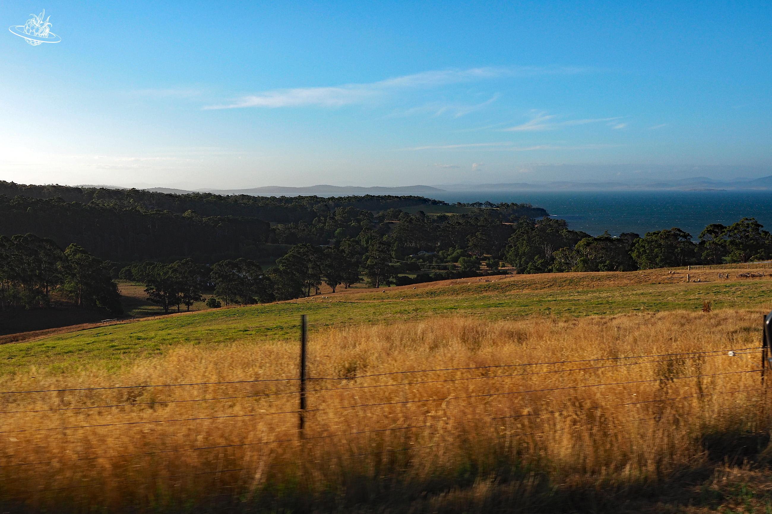 Unterwegs in Tasmanien: Reisetipps