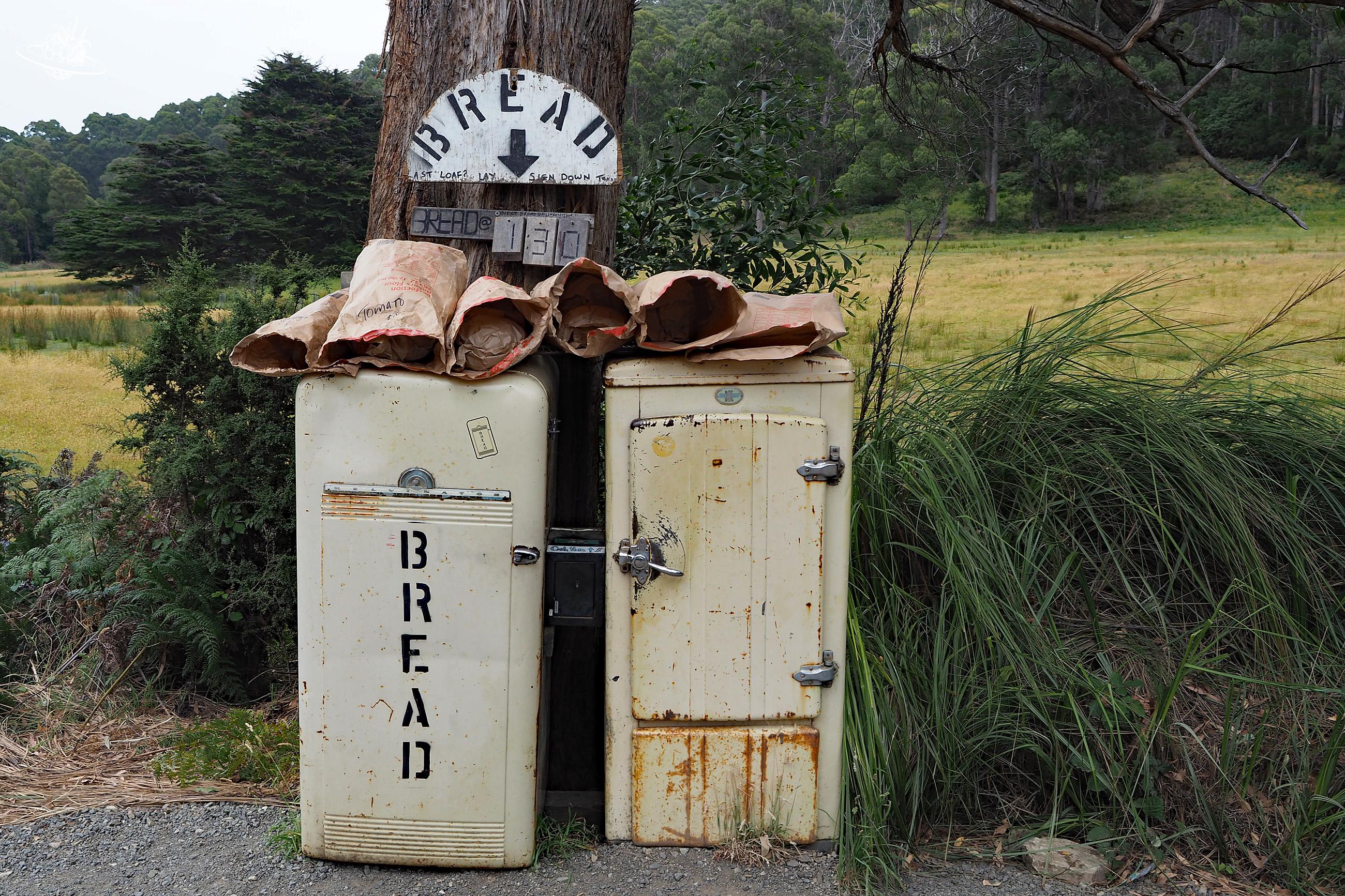 Sauer-Teig-Brot-Schrank auf Bruny Island in Tasmanien