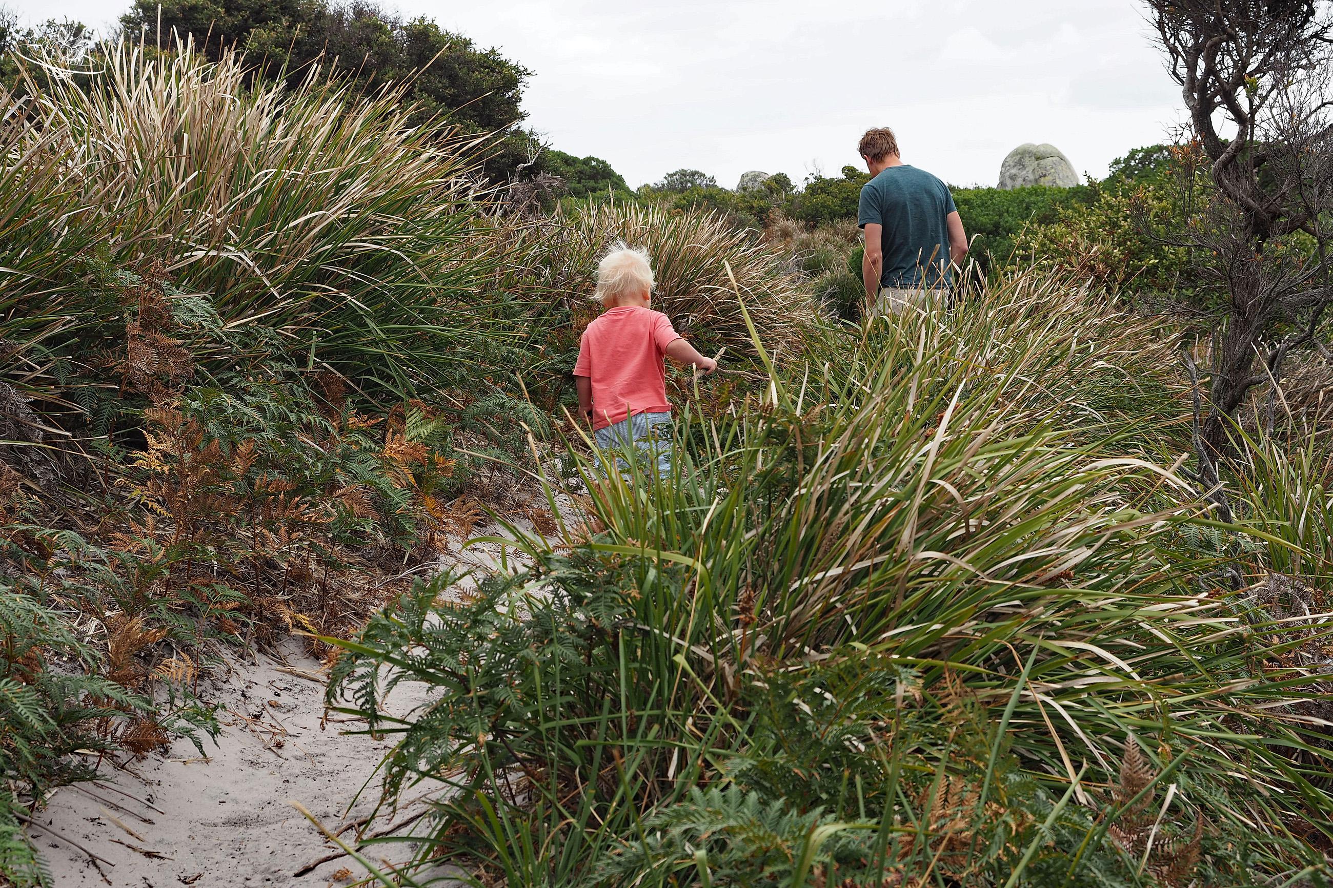 Skeleton Bay Reserve in Tasmanien