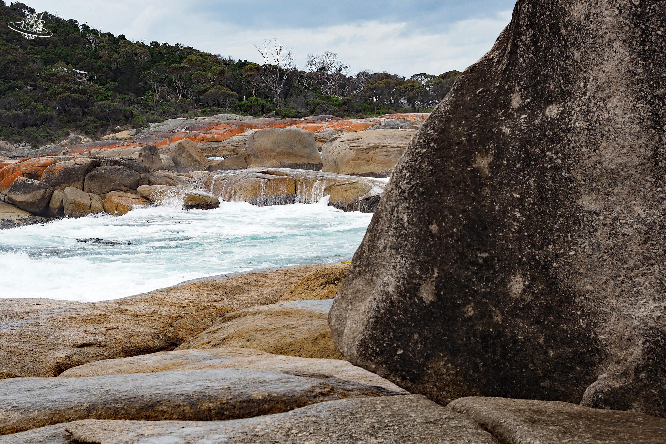 Spazieren in Tasmanien: National Whale