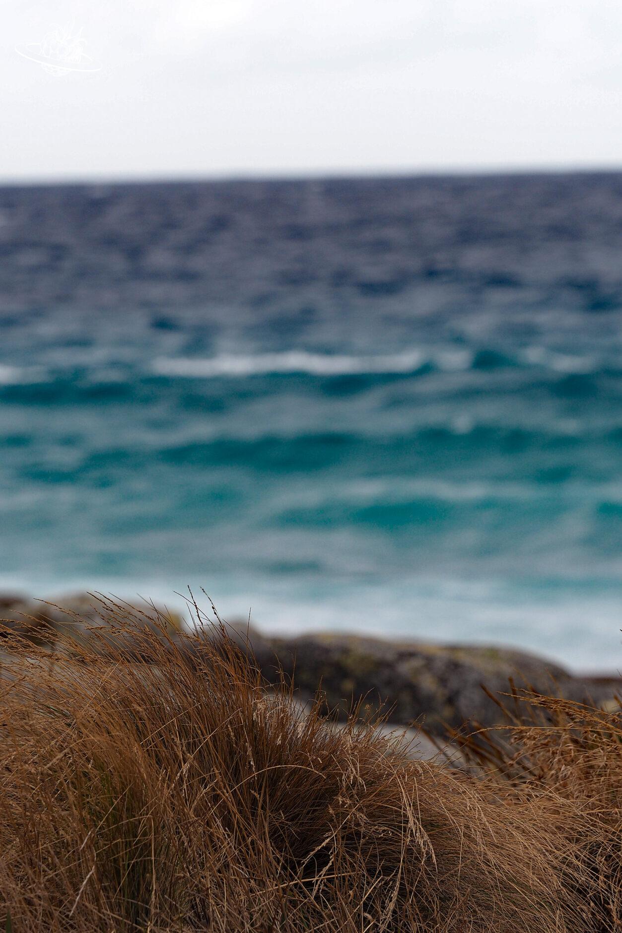 Reisetipp Tasmanien Taylors Beach