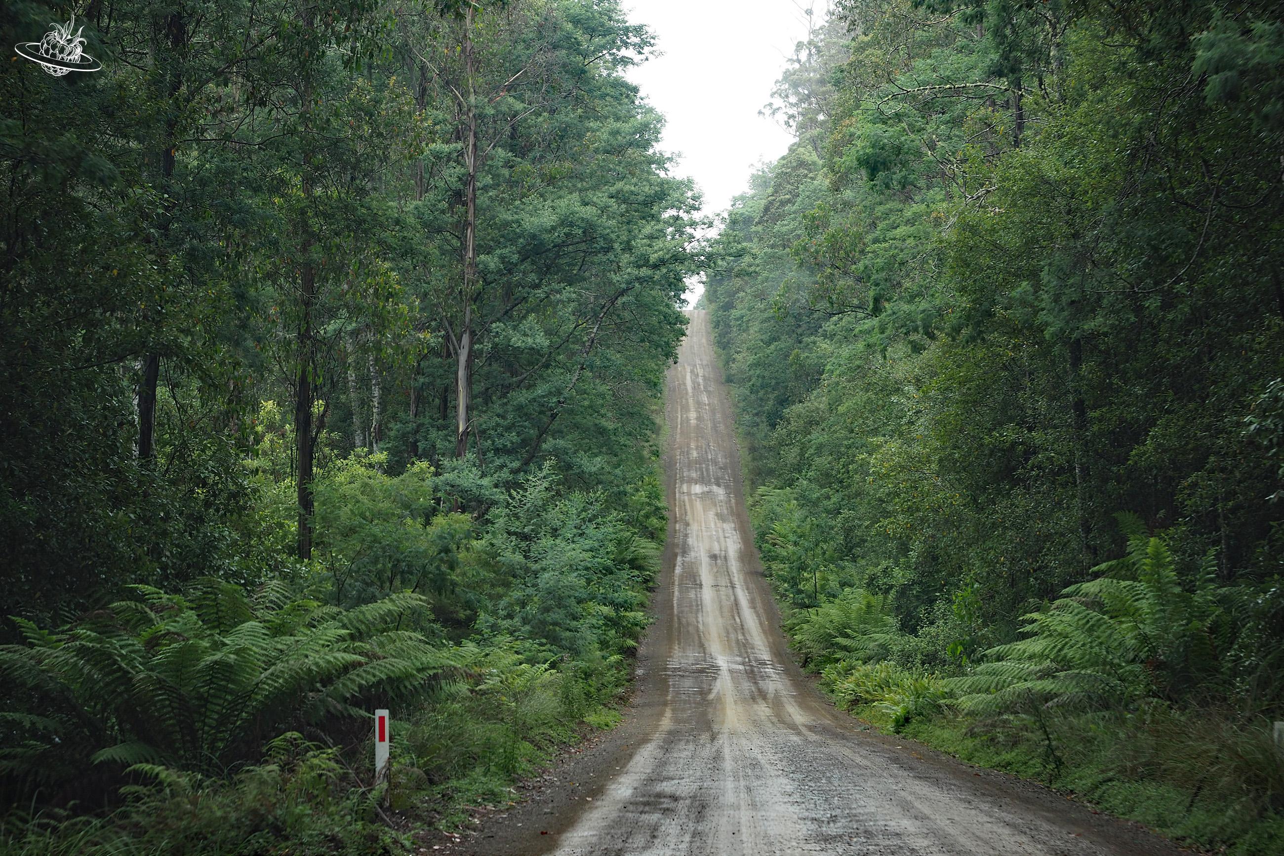 Schotterstrasse in Tasmanien