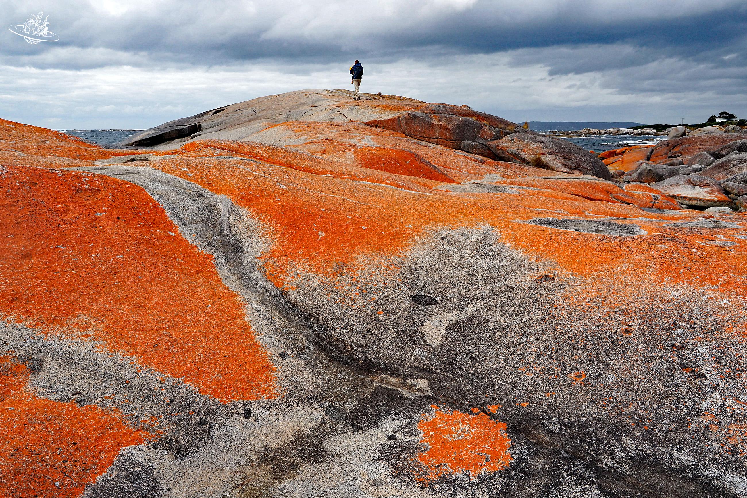 Tasmanien the rocks, garden orange Felsen