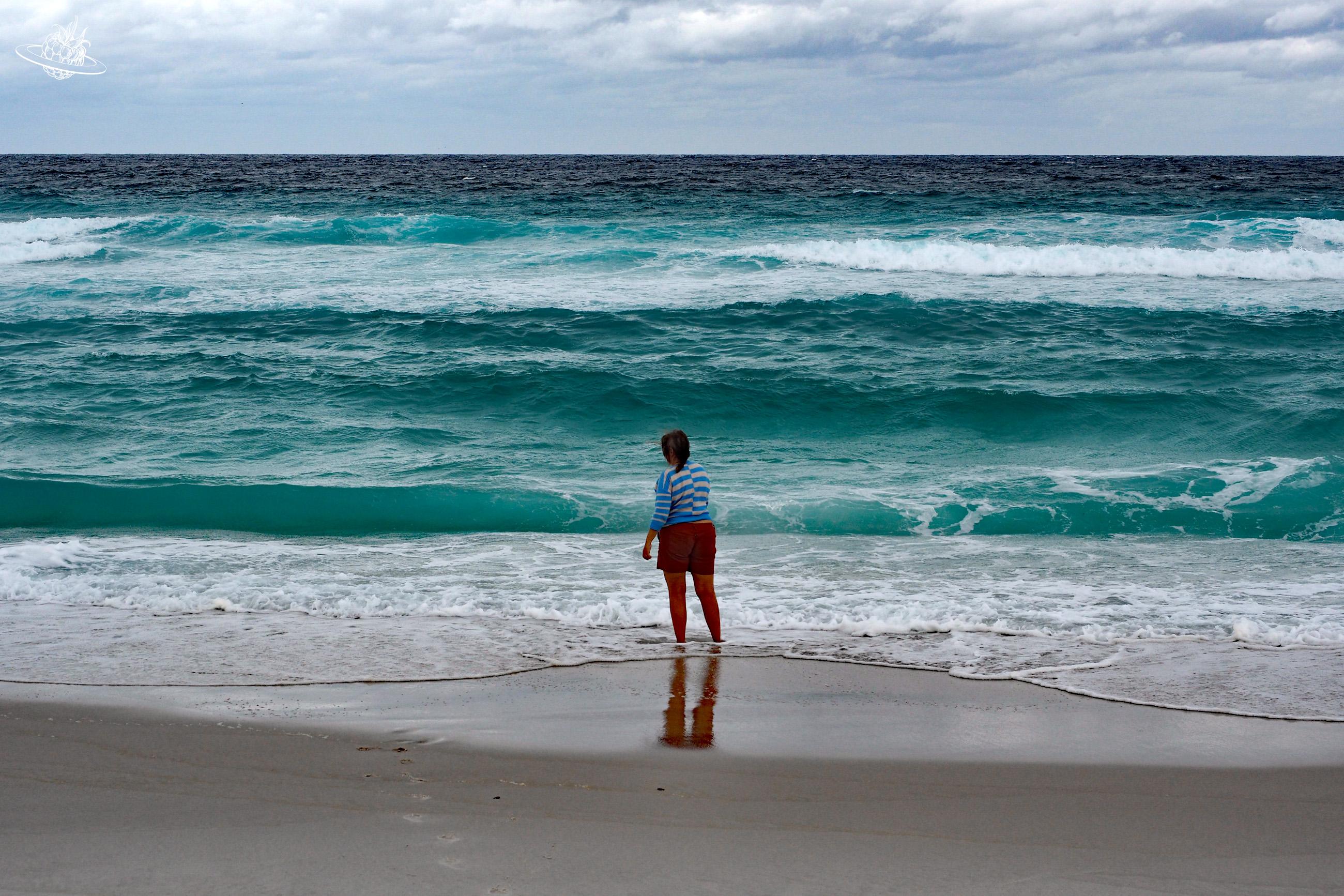 Wunderberry in Tasmanien: Reisetipp