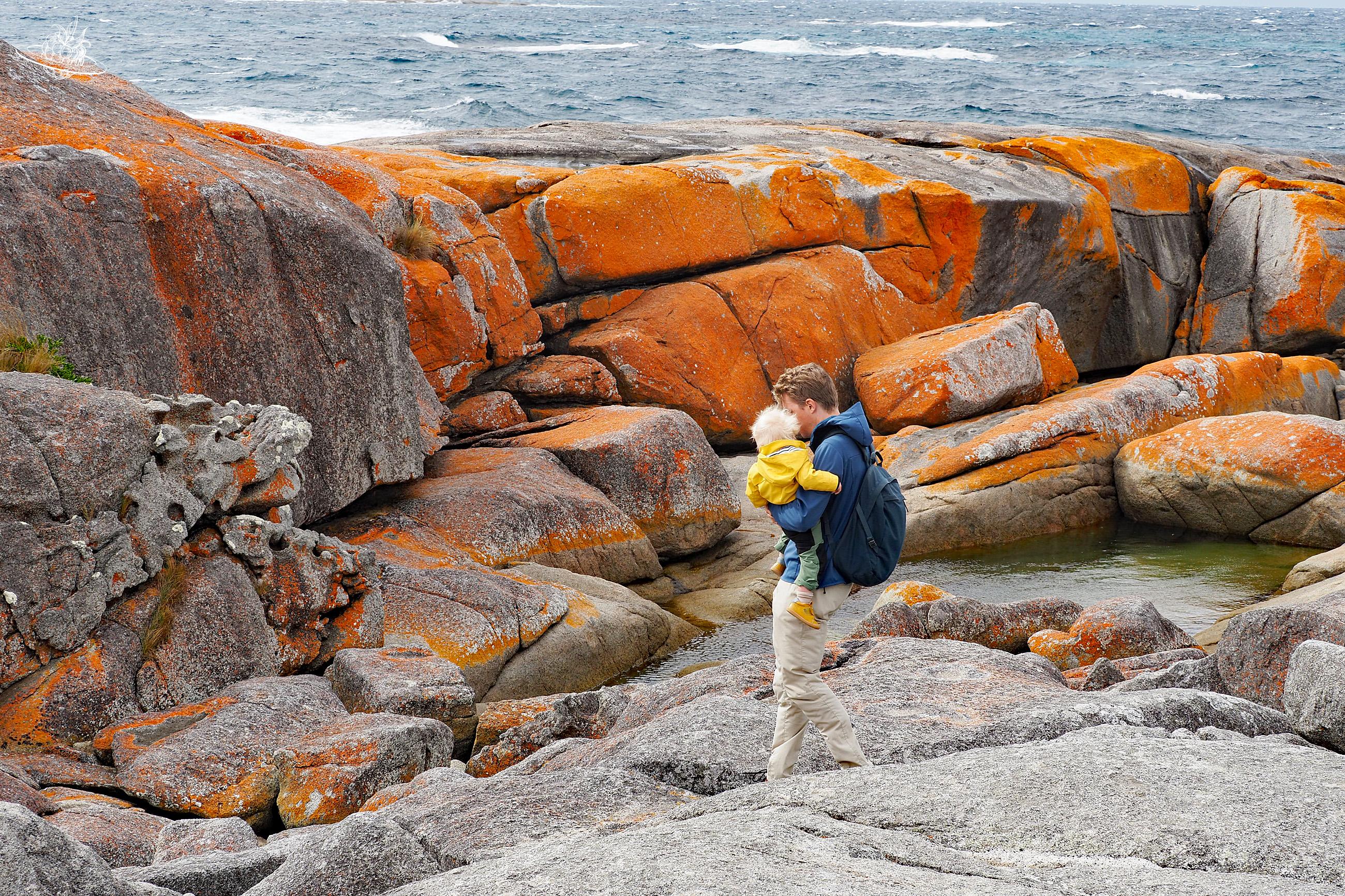 Orange Felsen in Tasmanien / Lutruwita: Reisetipp