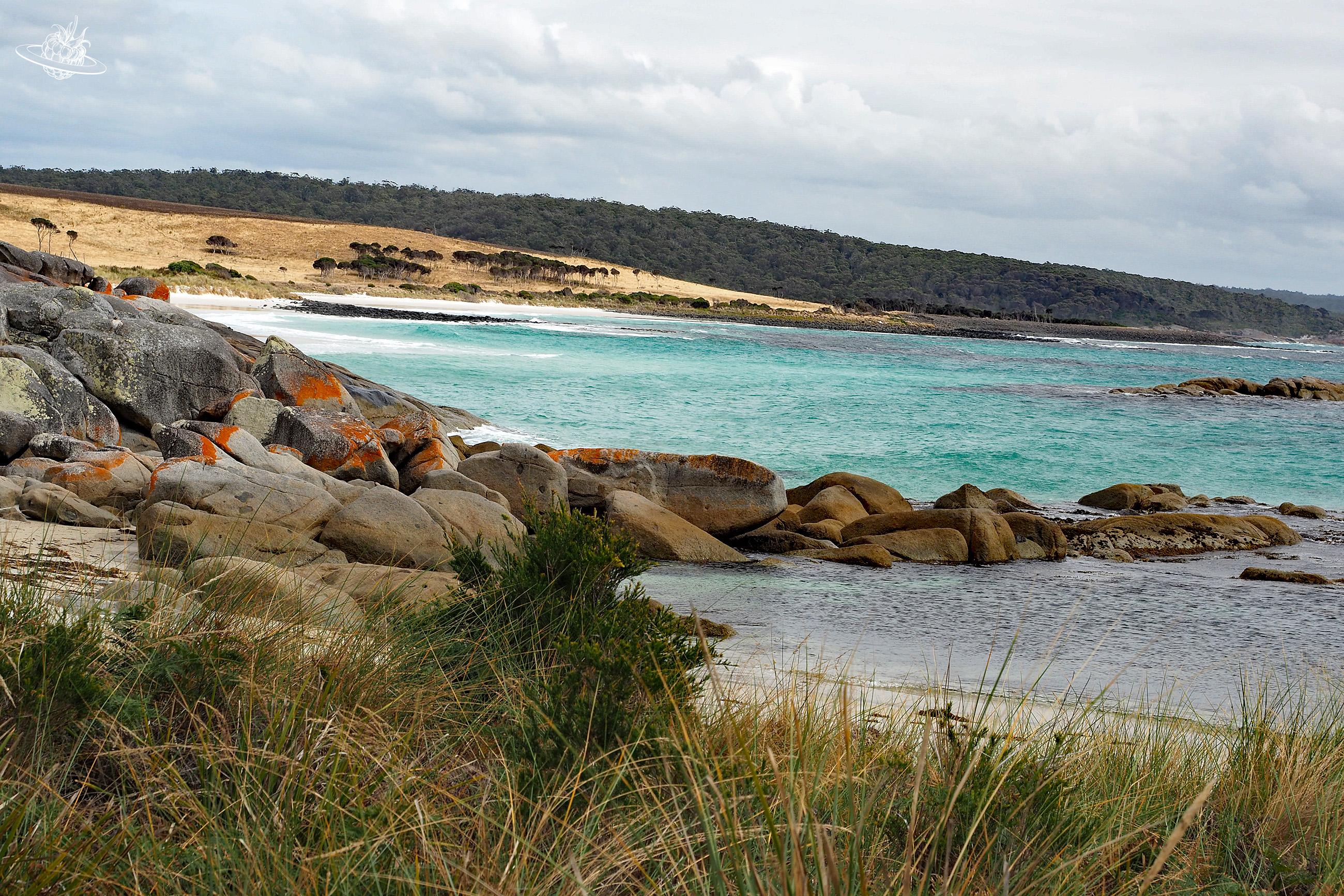 türkisfarbiges Wasser in Tasmanien