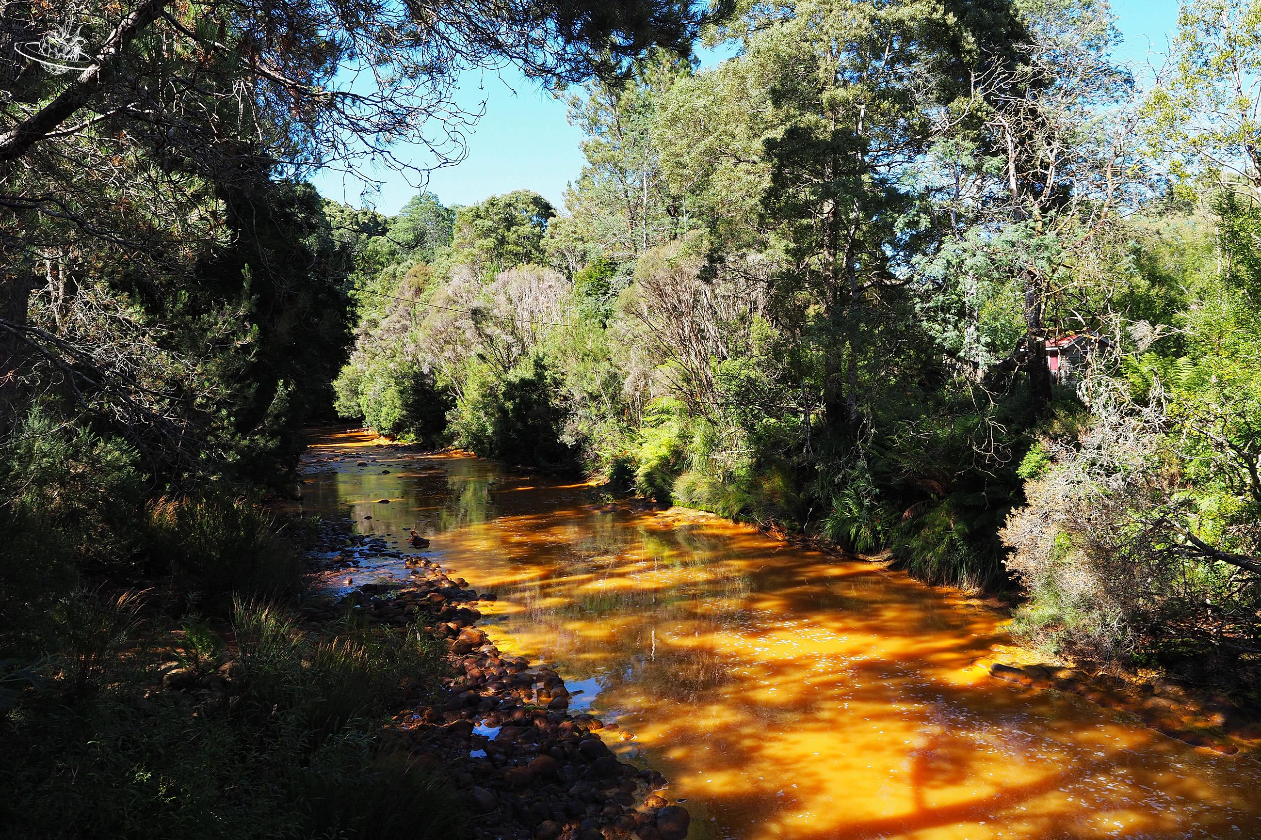 West coast Wilderness Zug. Bahnfahren entlang dem orangen River