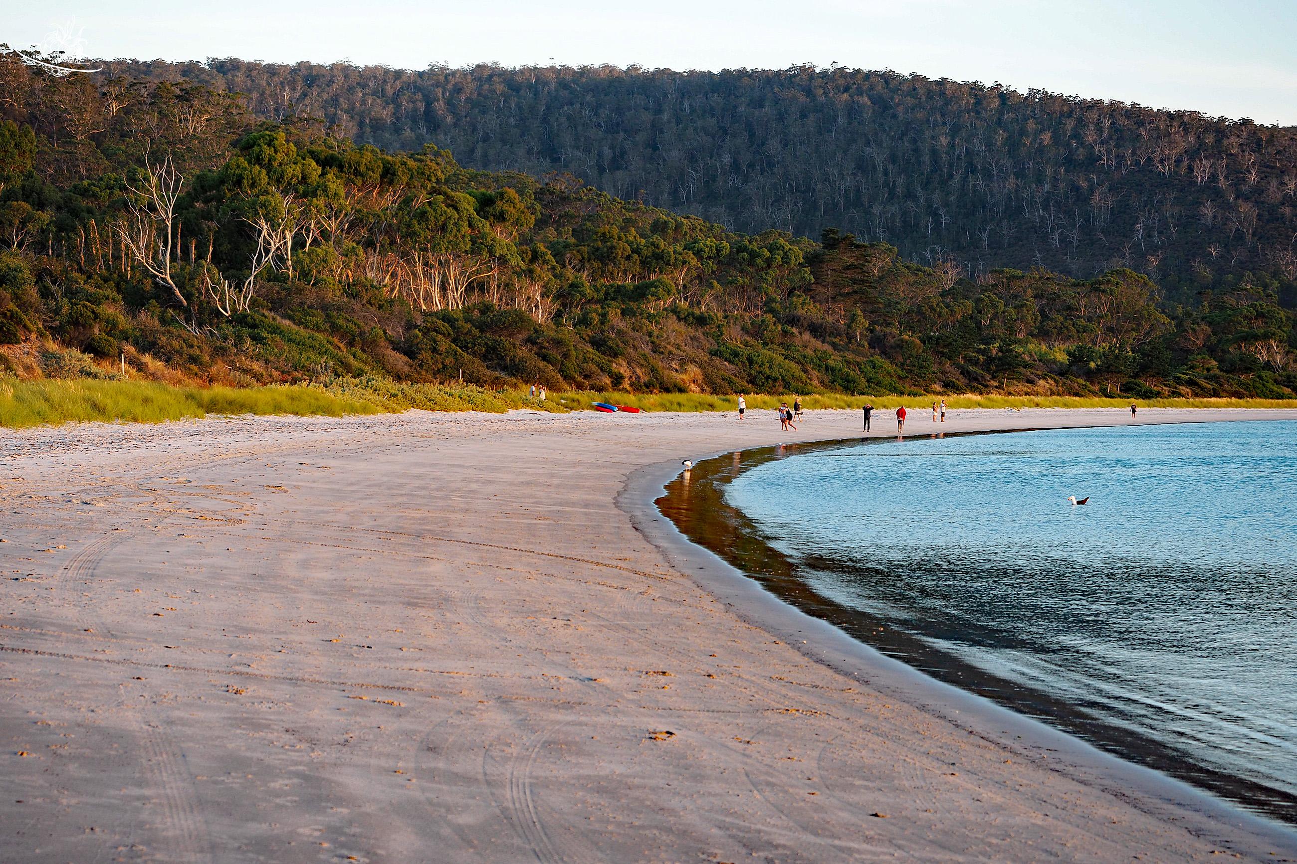 White Beach in Tasmanien