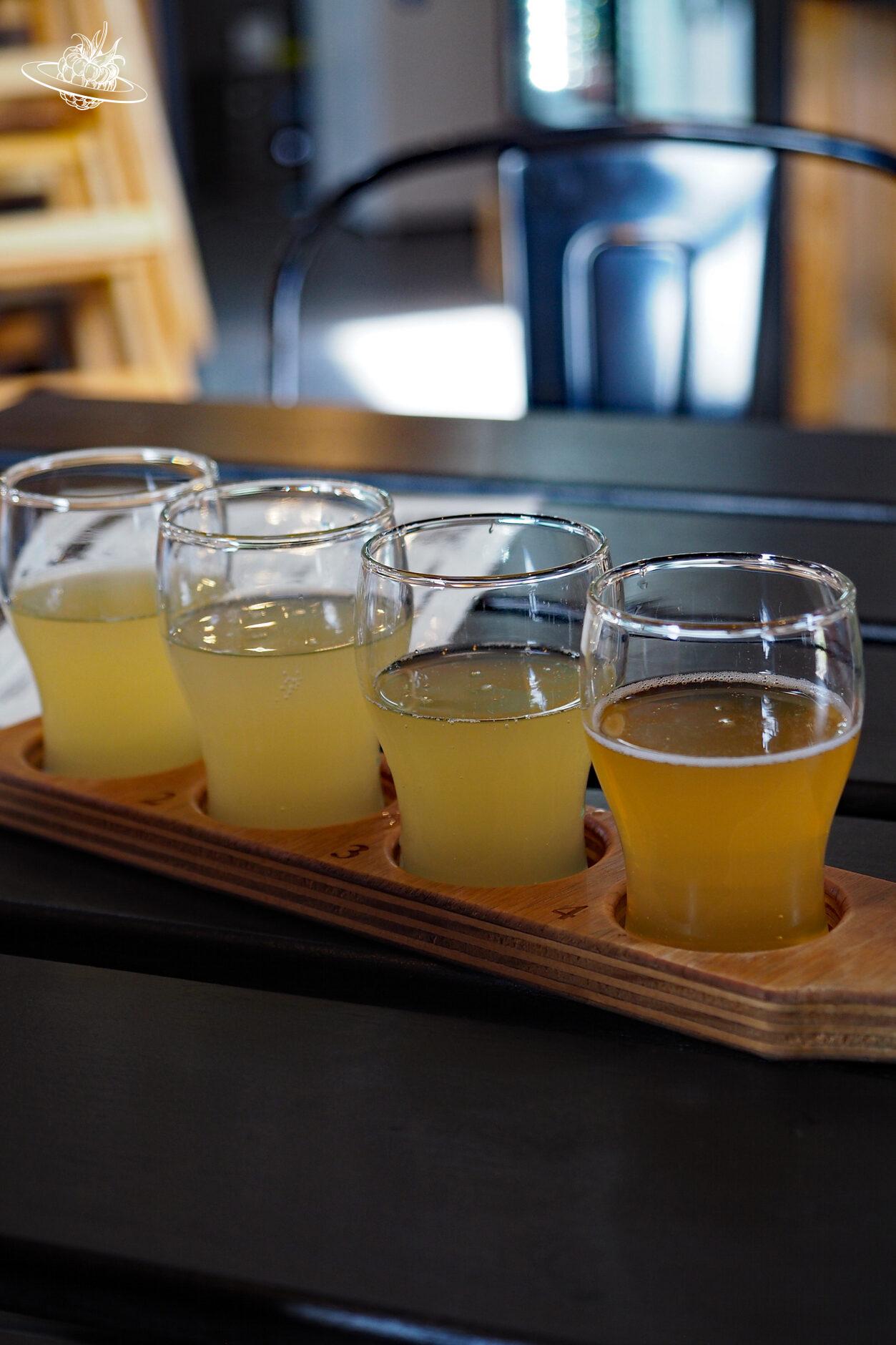 Apfelcider auf der Willie Smith Apple farm. Ausflug von Hobart