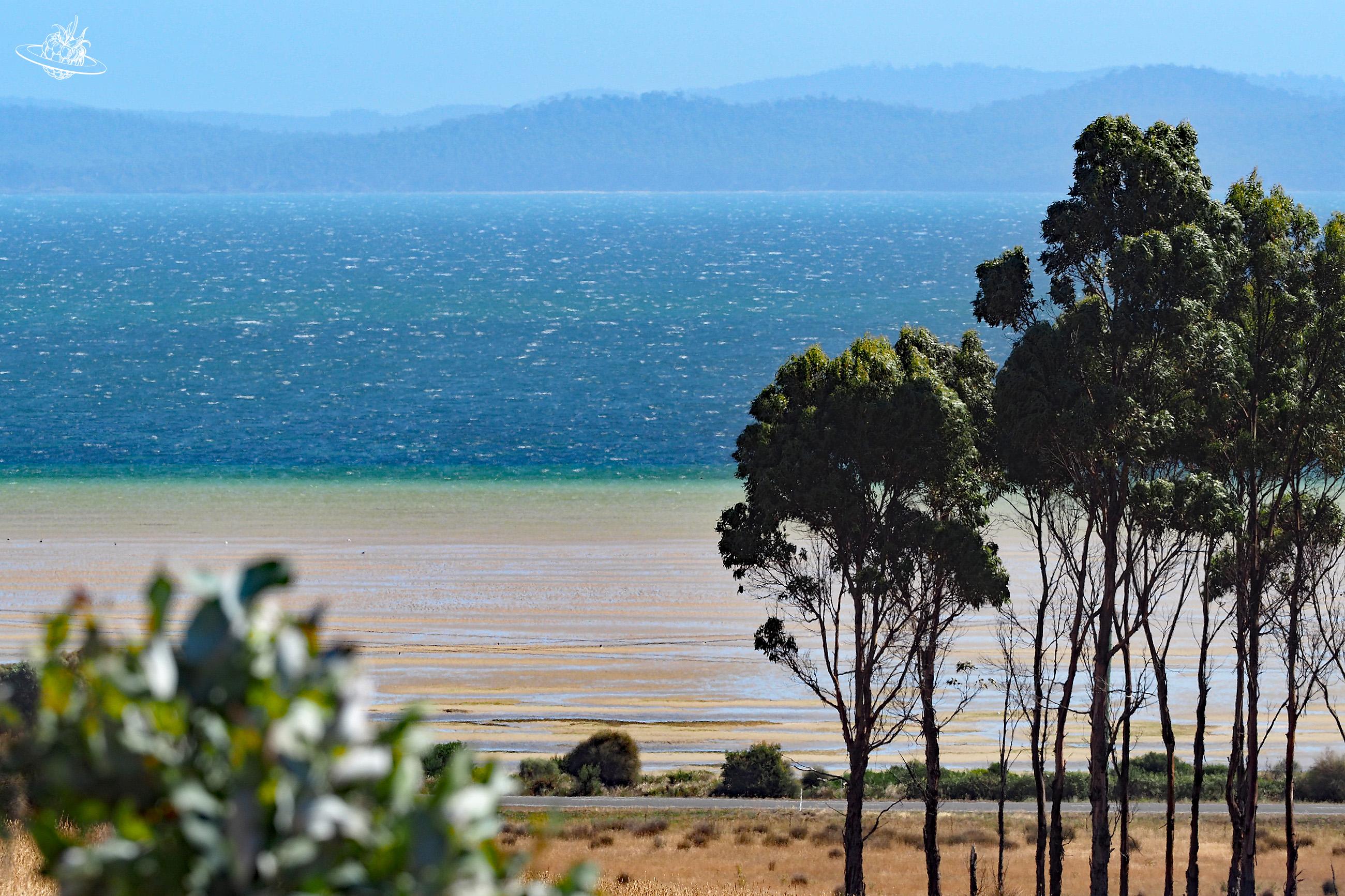 Ausblick aus der Bangor Weinkellerei in Tasmanien