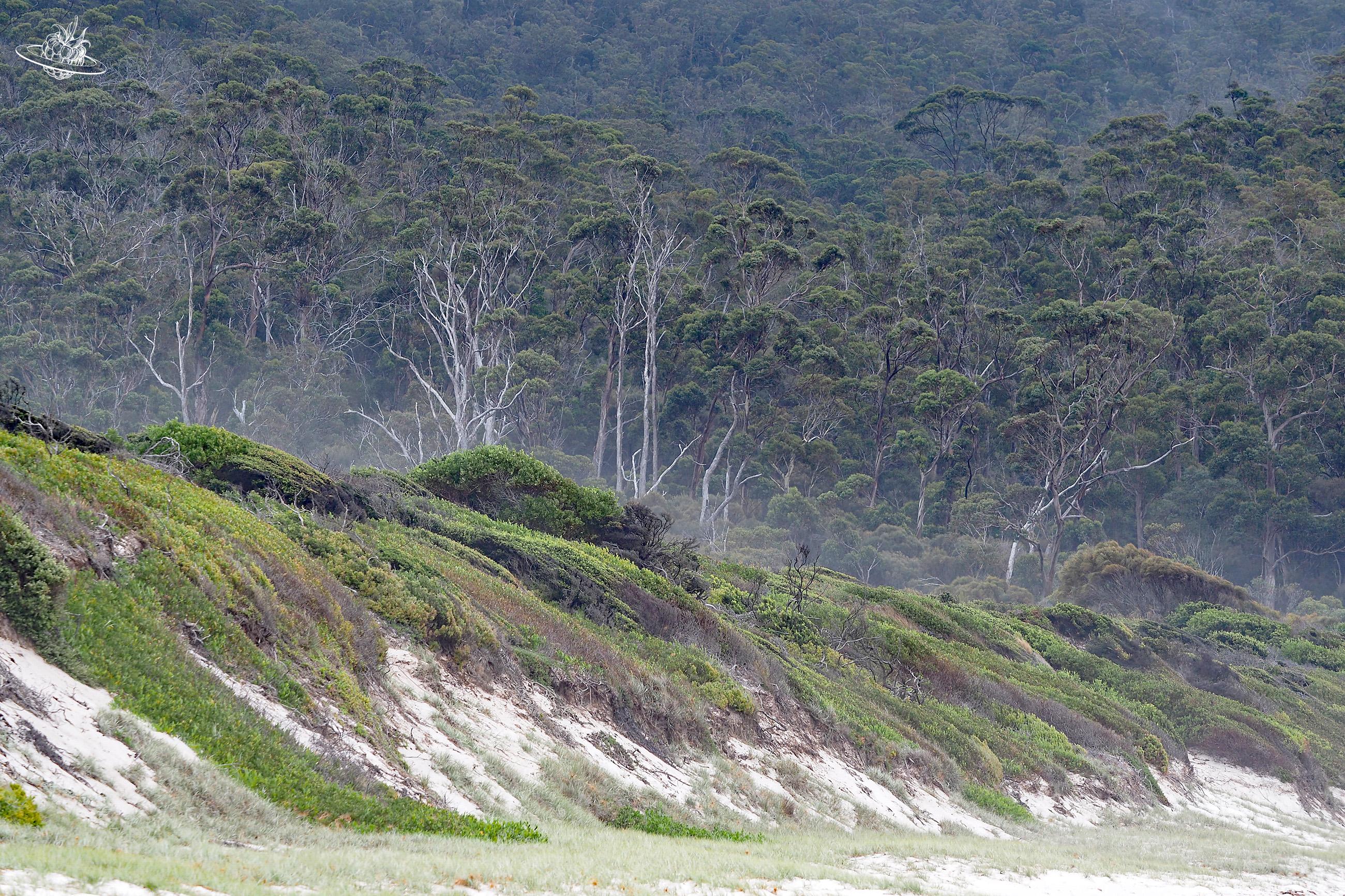 Wineglas Bay Freycinet National Park
