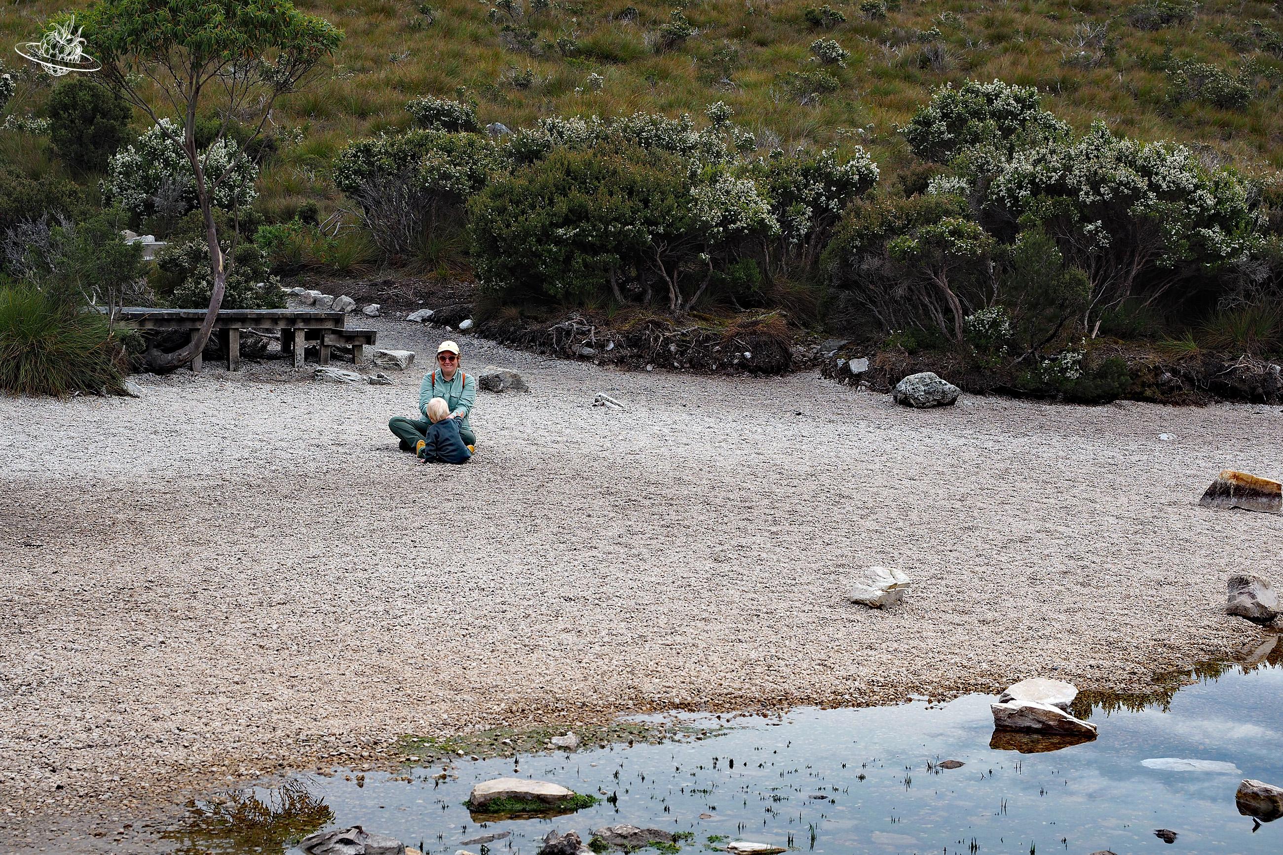 Wunderberry in Tasmanien.