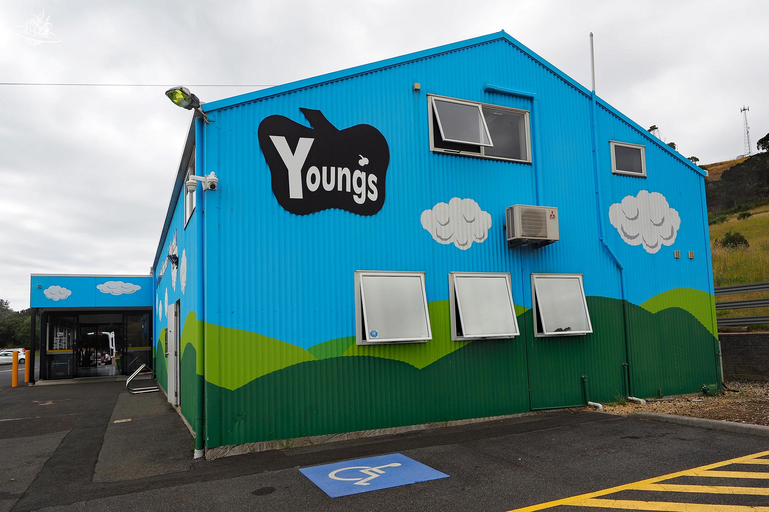 Marktstand Youngs Veggie Shad einkaufen