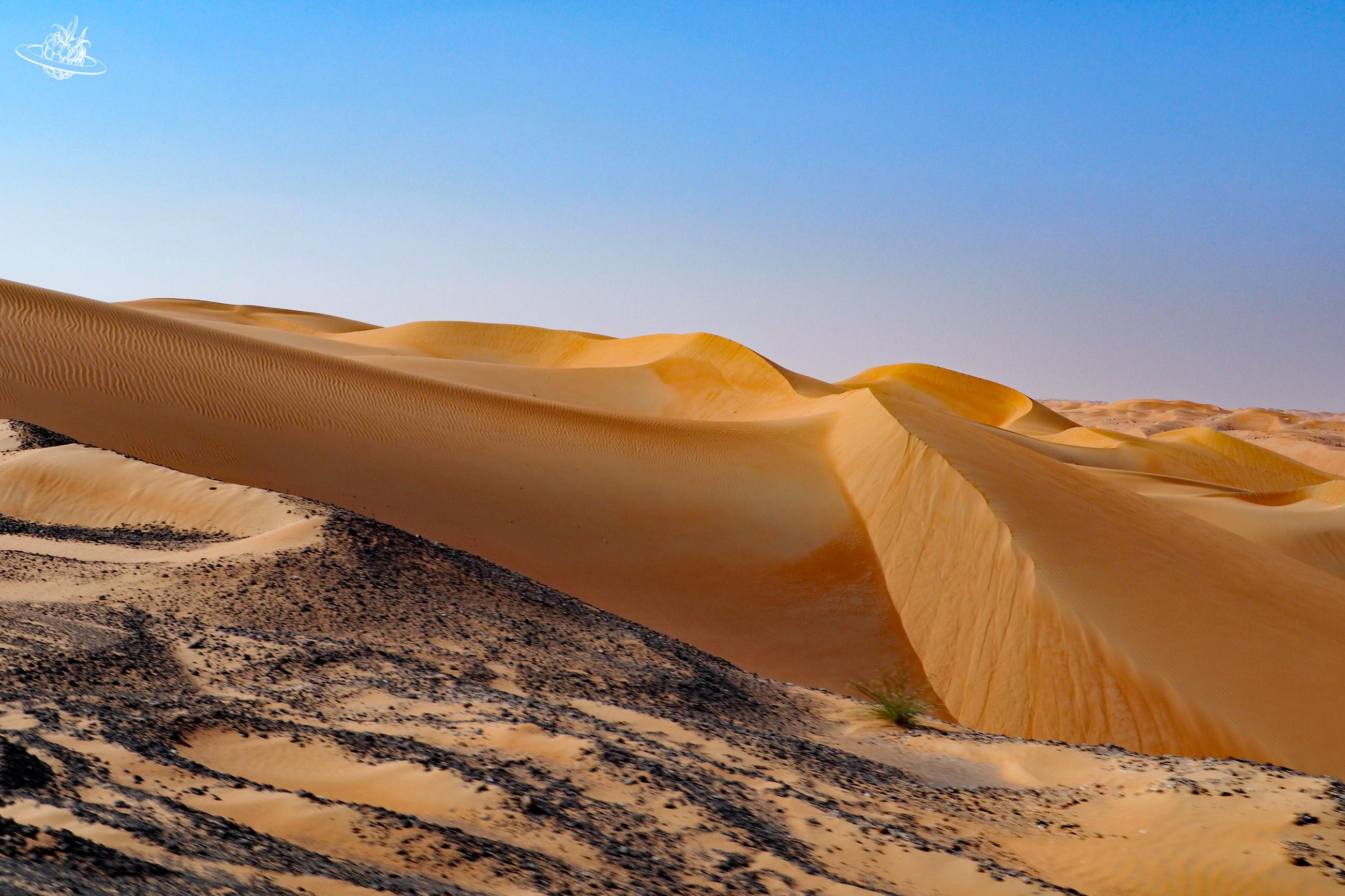 Ausflug von Abu Dhabi: Die wunderschöne Liwa Wüste. Endlose Sanddünen. Sie ist die grösste zusammenhängende Sandwüste der Welt