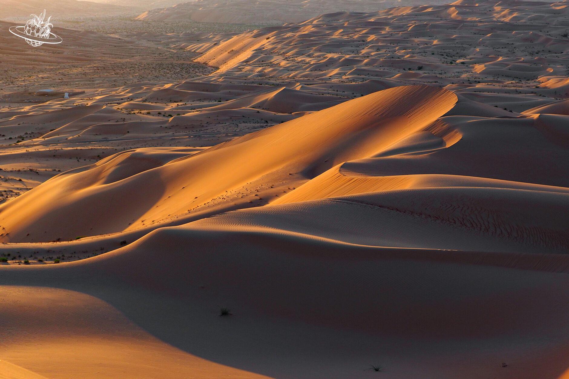 Sanddünen soweit das Auge reicht