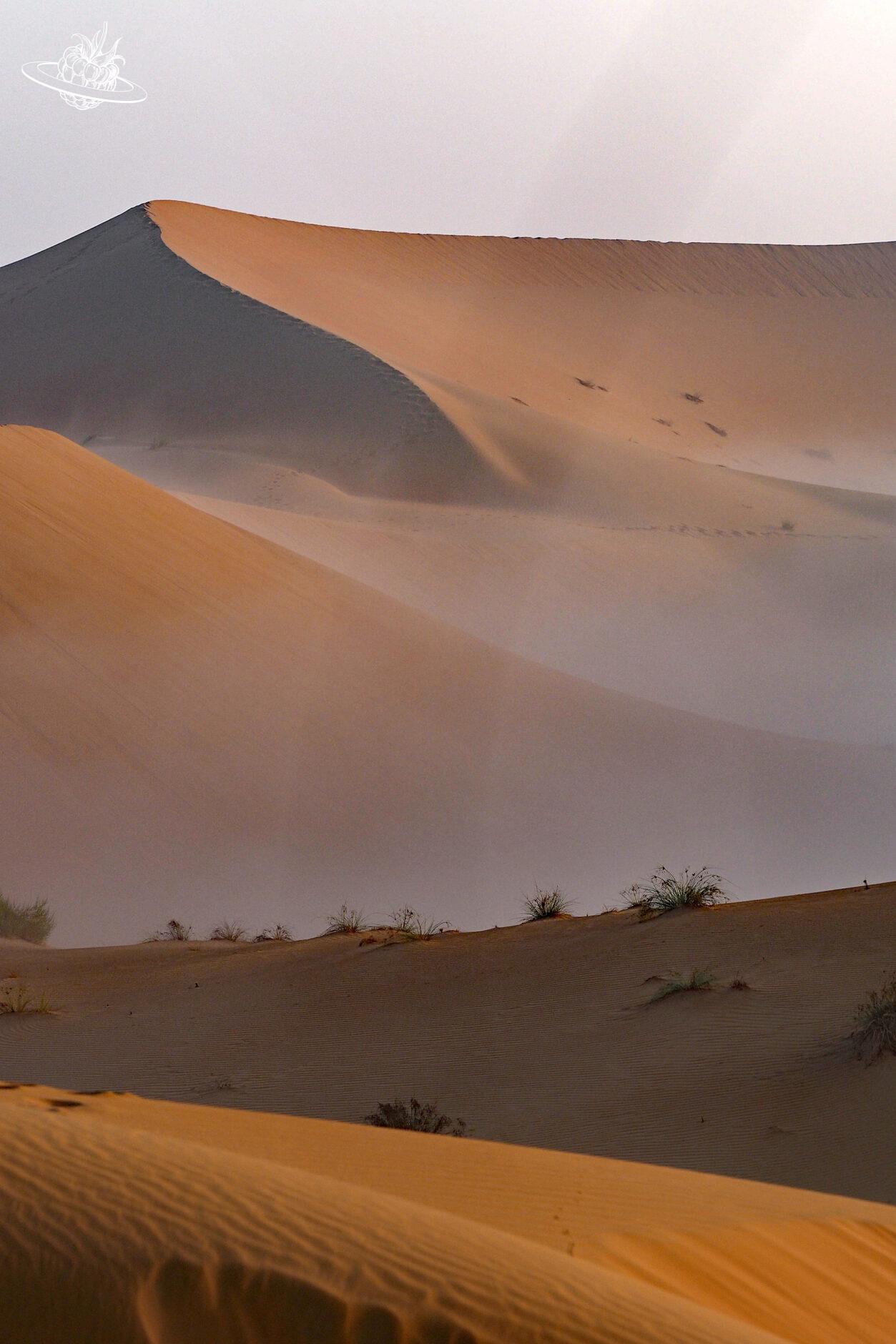 Liwa Wüste Morgentau