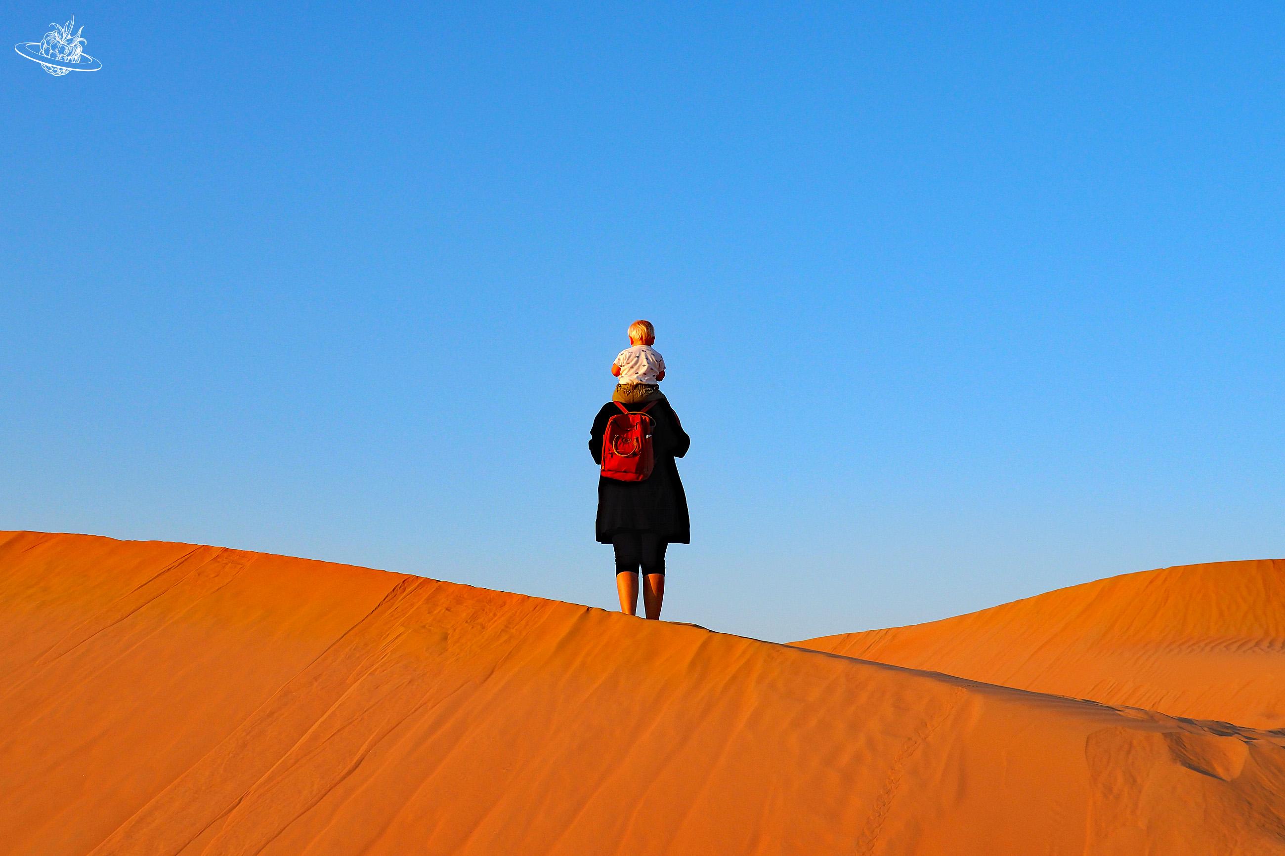 In der Liwa Wüste in den Emiraten