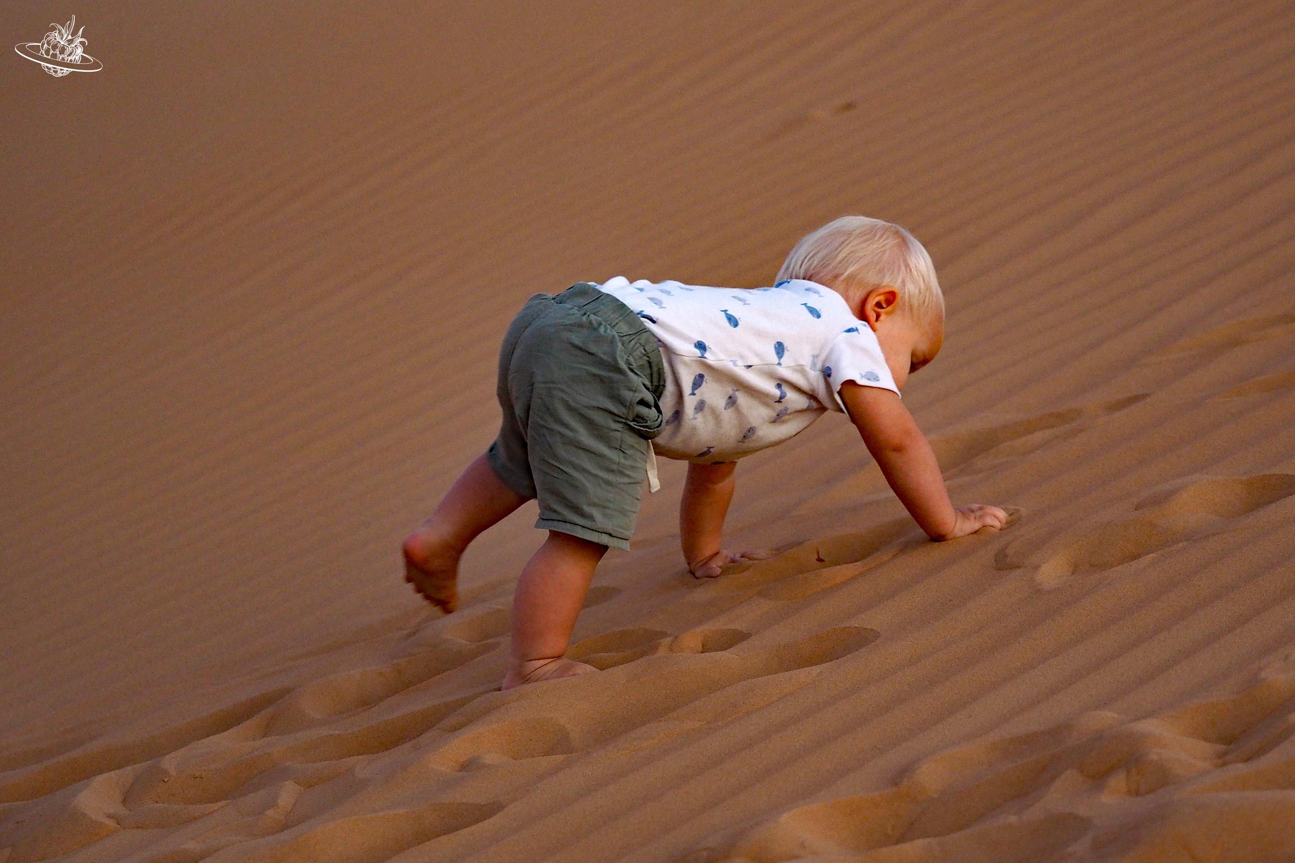 Qasr al sarab