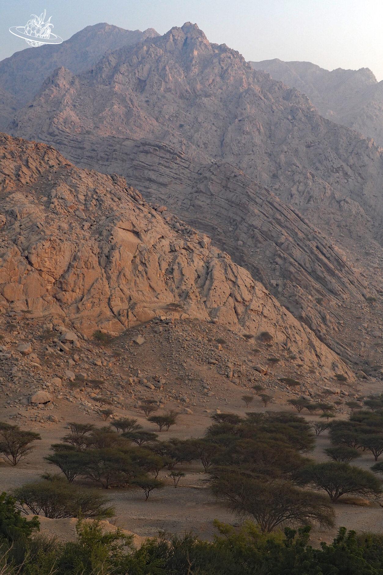 Dhajah fort: Ein Ausflug wert ins Gebirge