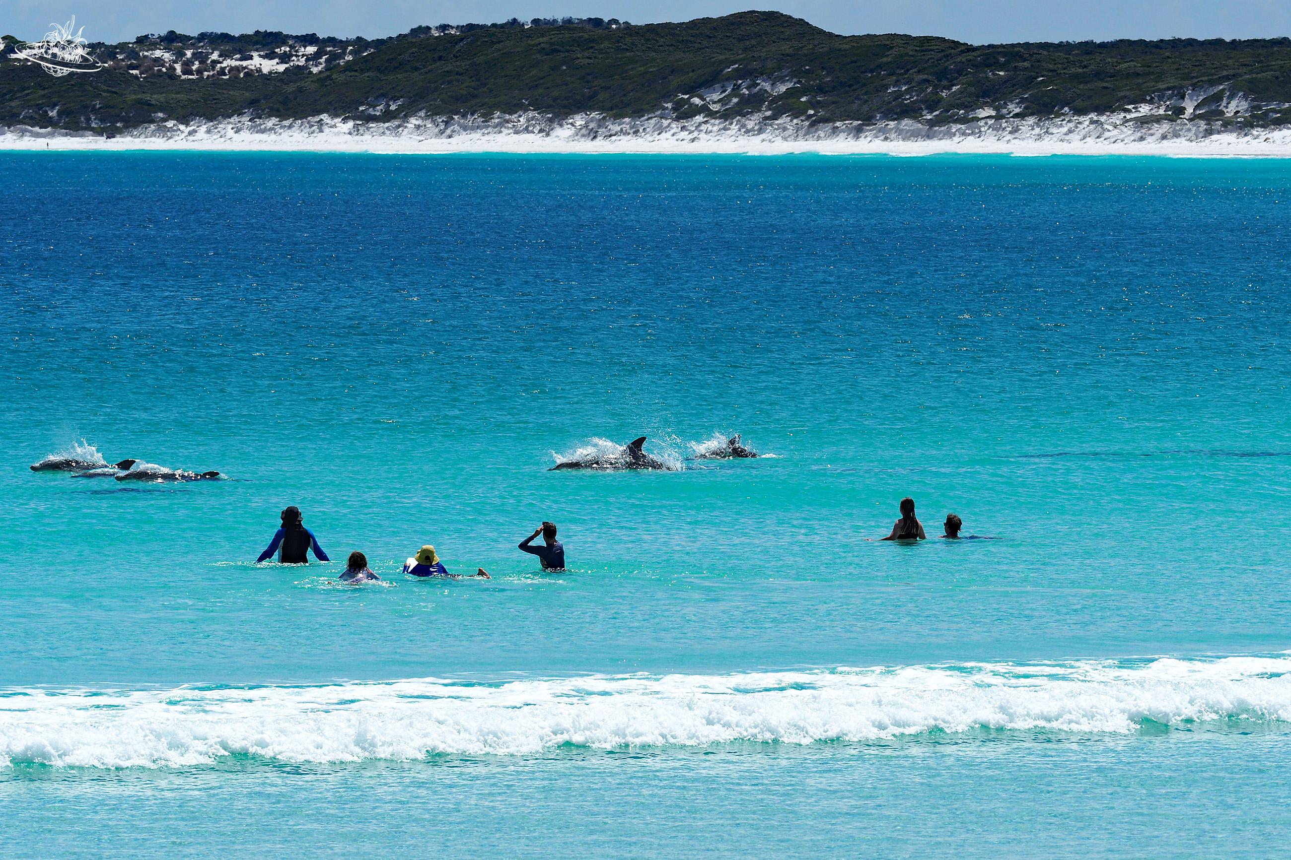 Kristallklares Wasser am Wharton Beach
