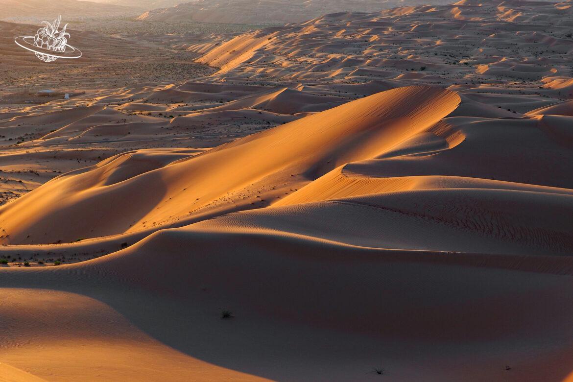 9 Reisetipps in den Emiraten: Strand, Wüste und Safari