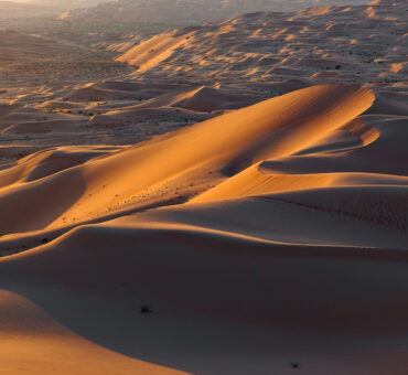 9 Reisetipps in den Emiraten: Strand, Wüste und Safari